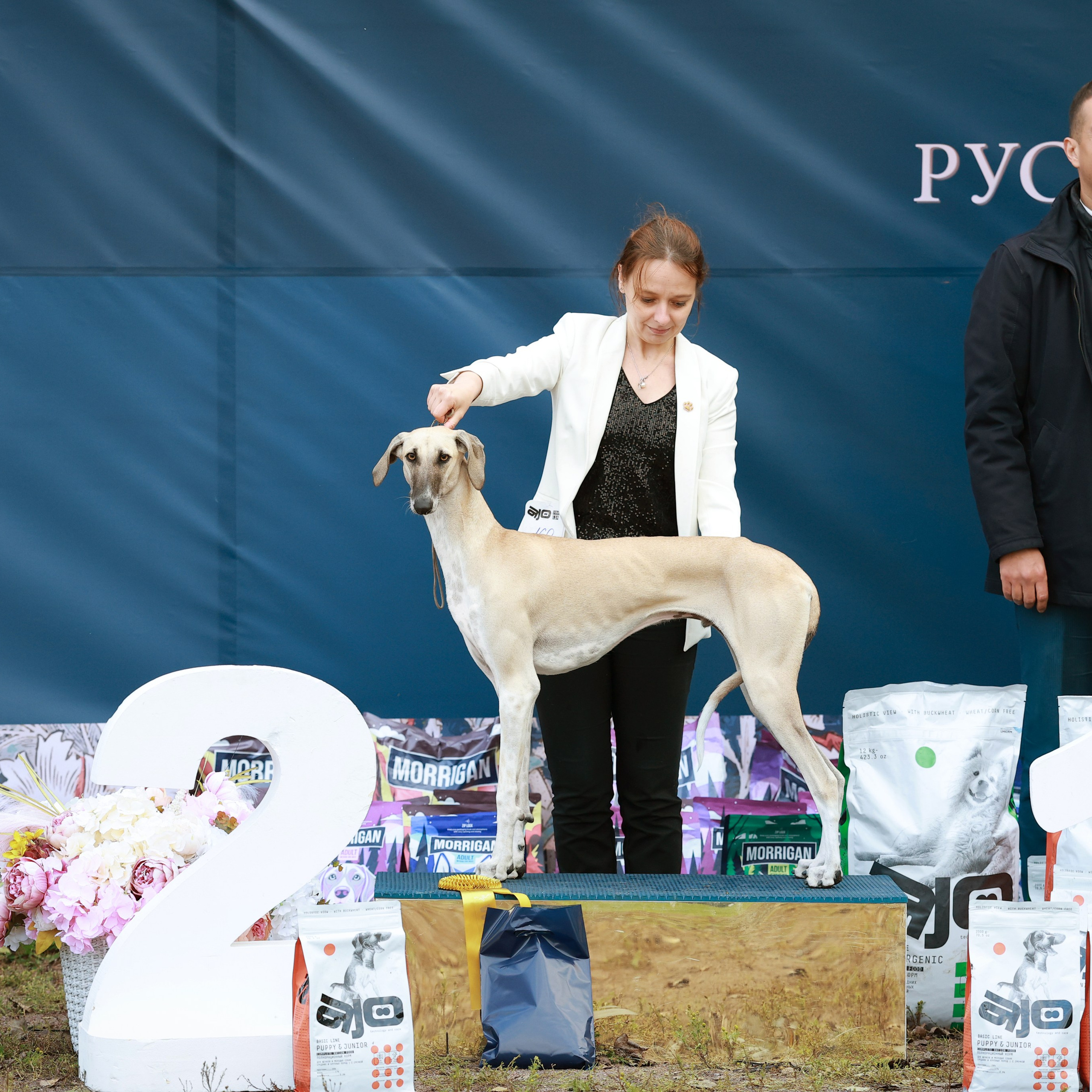 27-28.09.2025 ВЫСТАВКИ СОБАК ВСЕХ ПОРОД (САС, ЧРКФ, ЧФ). Кинологический клуб РКФ РФСС СЕНСАЦИЯ