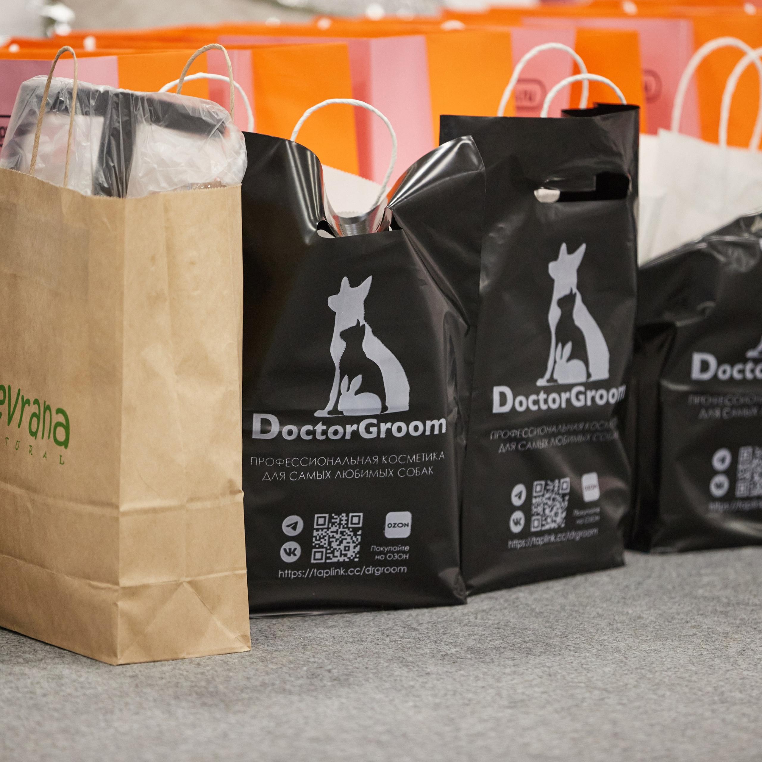 10-11.02.2024 ВЫСТАВКА СОБАК ВСЕХ ПОРОД (САС, ЧФ). Кинологический клуб РКФ РФСС СЕНСАЦИЯ