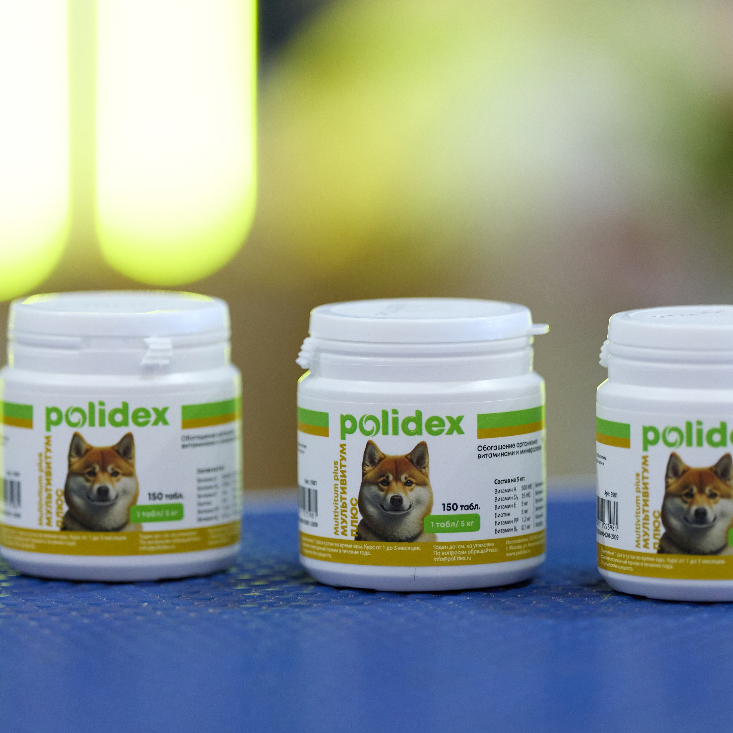 21.03.2026 СПб РОО РУССКИЙ СТИЛЬ. ВЫСТАВКА СОБАК ВСЕХ ПОРОД (САС, ЧФ). Кинологический клуб РКФ РФСС СЕНСАЦИЯ