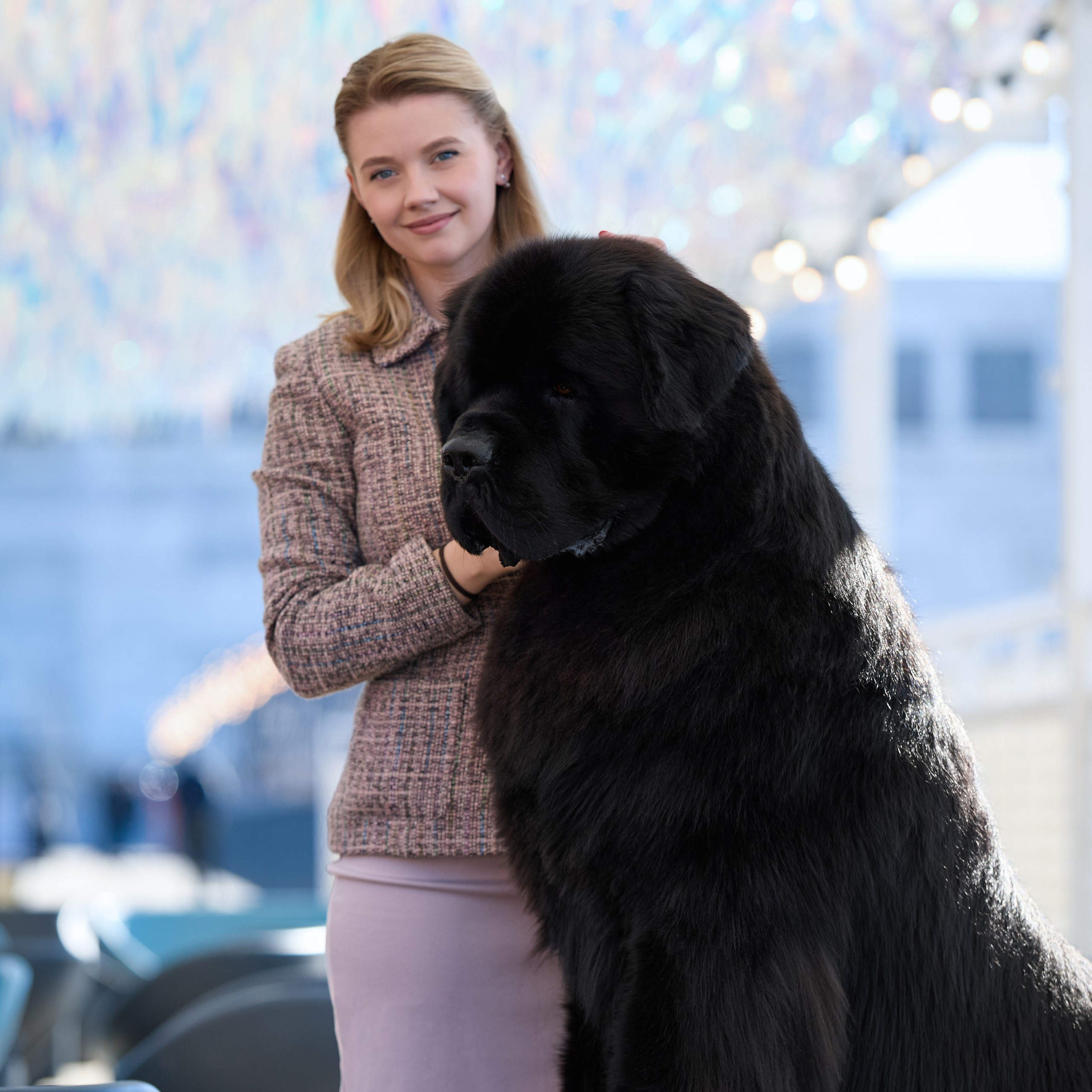 21.03.2026 СПб РОО РУССКИЙ СТИЛЬ. ВЫСТАВКА СОБАК ВСЕХ ПОРОД (САС, ЧФ). Кинологический клуб РКФ РФСС СЕНСАЦИЯ