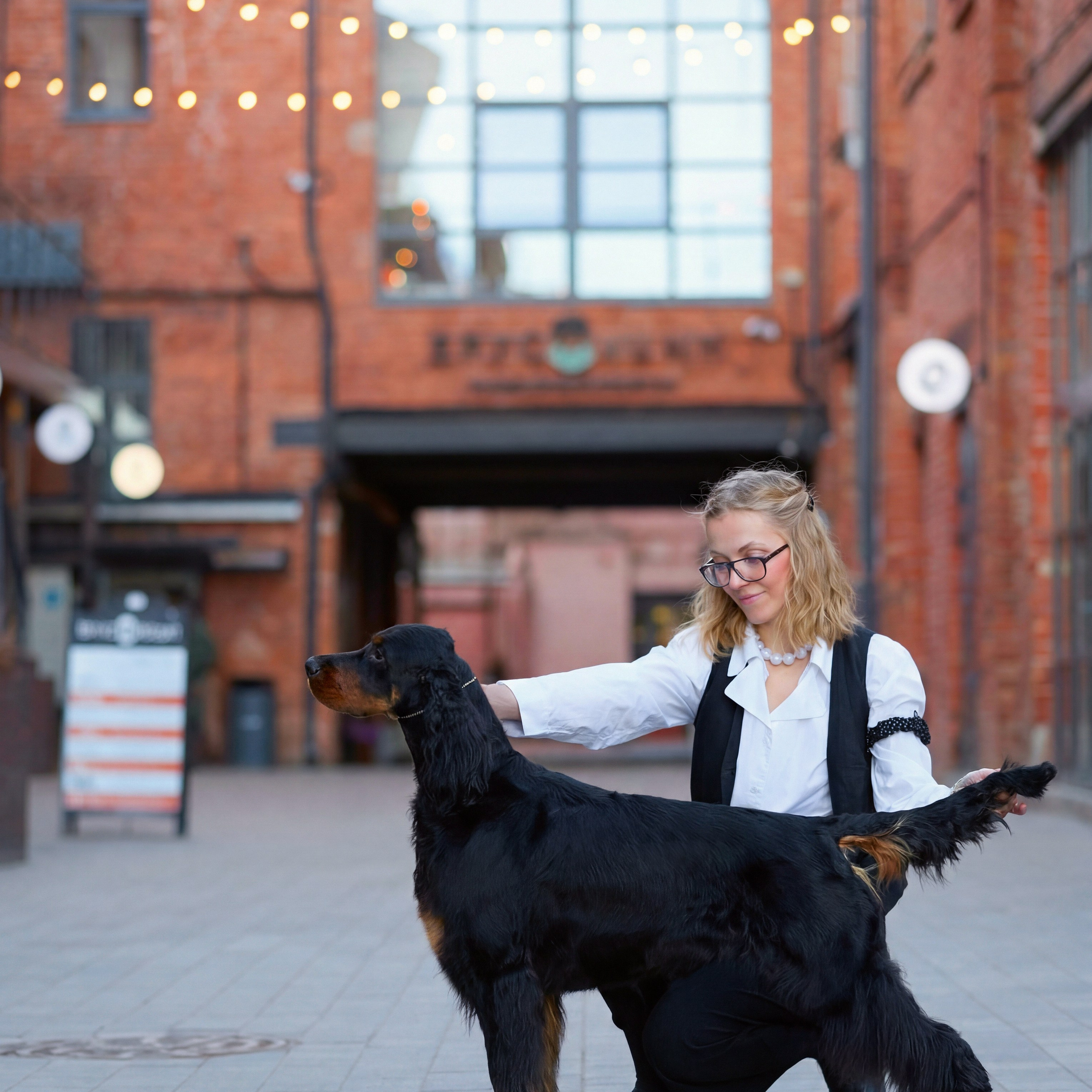 21.03.2026 СПб РОО РУССКИЙ СТИЛЬ. ВЫСТАВКА СОБАК ВСЕХ ПОРОД (САС, ЧФ). Кинологический клуб РКФ РФСС СЕНСАЦИЯ