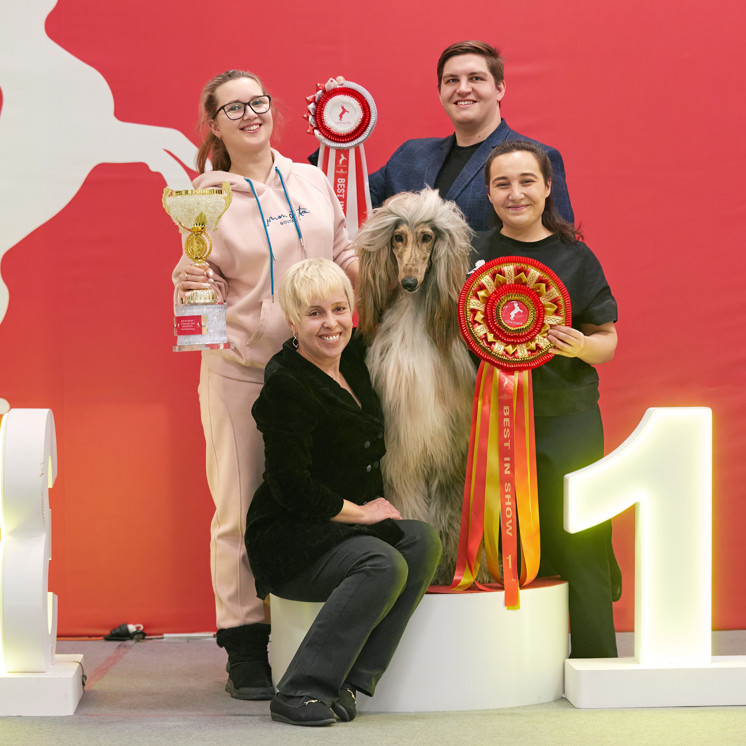 10-11.02.2024 ВЫСТАВКА СОБАК ВСЕХ ПОРОД (САС, ЧФ). Кинологический клуб РКФ РФСС СЕНСАЦИЯ