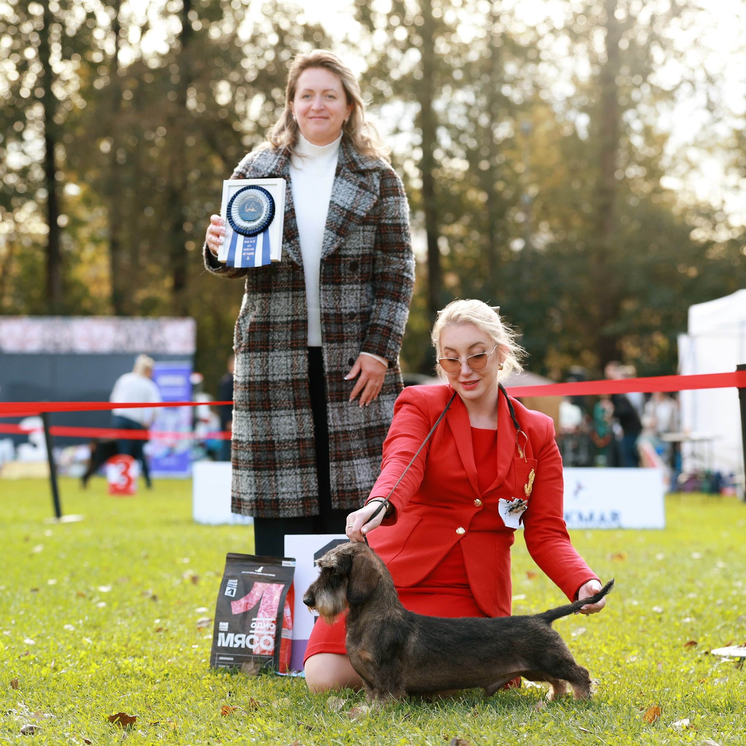 27-28.09.2025 ВЫСТАВКИ СОБАК ВСЕХ ПОРОД (САС, ЧРКФ, ЧФ). Кинологический клуб РКФ РФСС СЕНСАЦИЯ