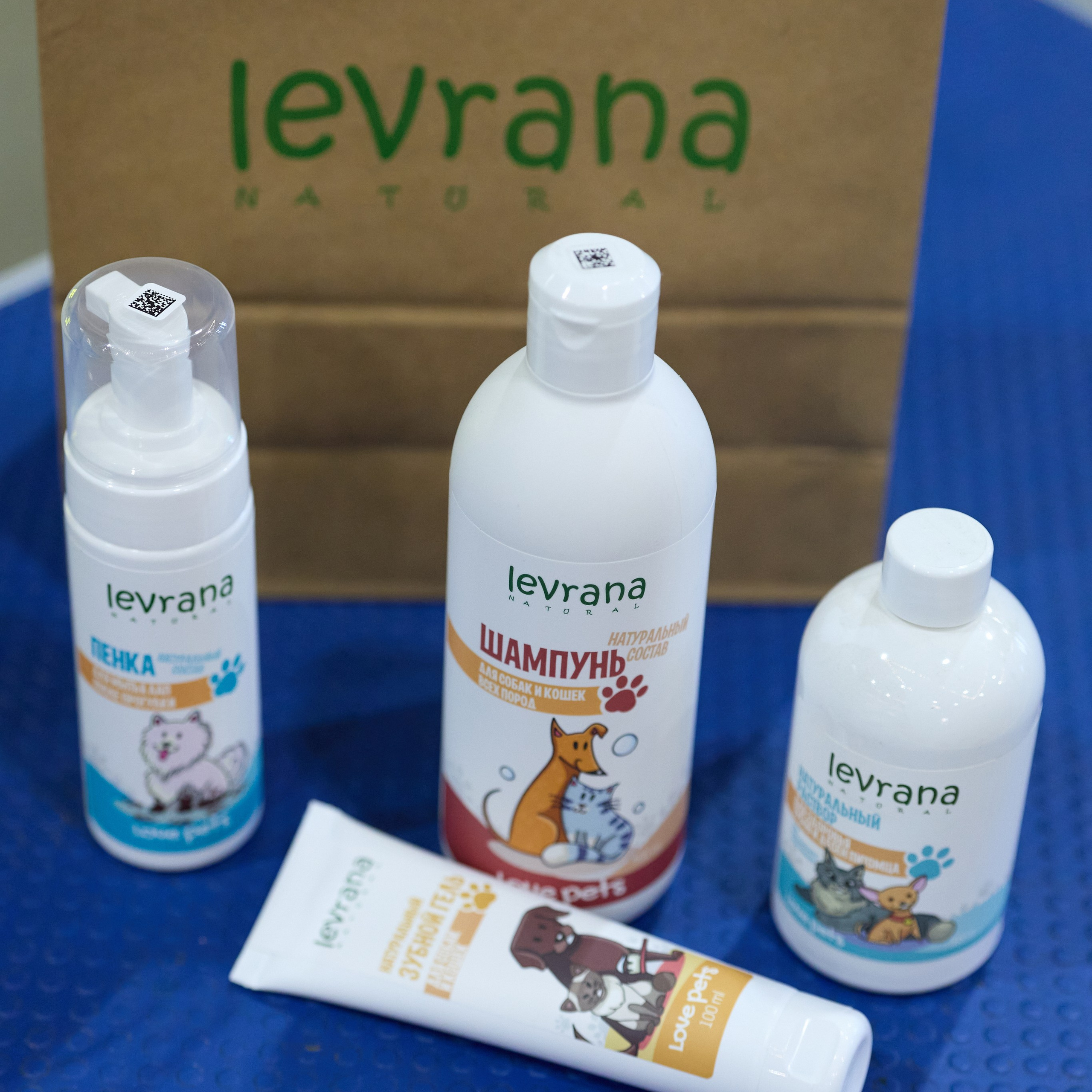 21.03.2026 СПб РОО РУССКИЙ СТИЛЬ. ВЫСТАВКА СОБАК ВСЕХ ПОРОД (САС, ЧФ). Кинологический клуб РКФ РФСС СЕНСАЦИЯ