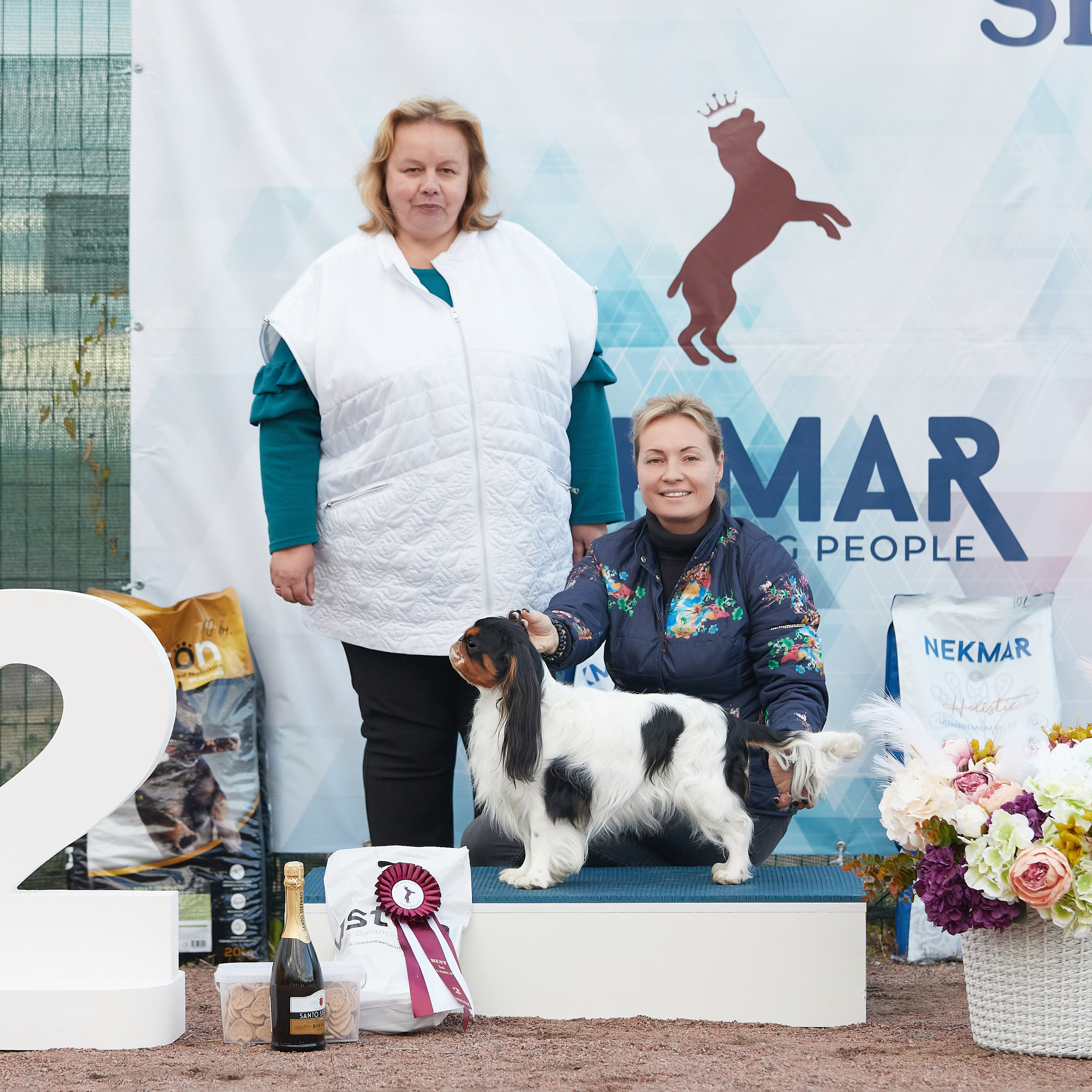 18.09.22 ВЫСТАВКА СОБАК ВСЕХ ПОРОД (CAC, ЧФ) «СЕНСАЦИЯ-2022». Кинологический клуб РКФ РФСС СЕНСАЦИЯ