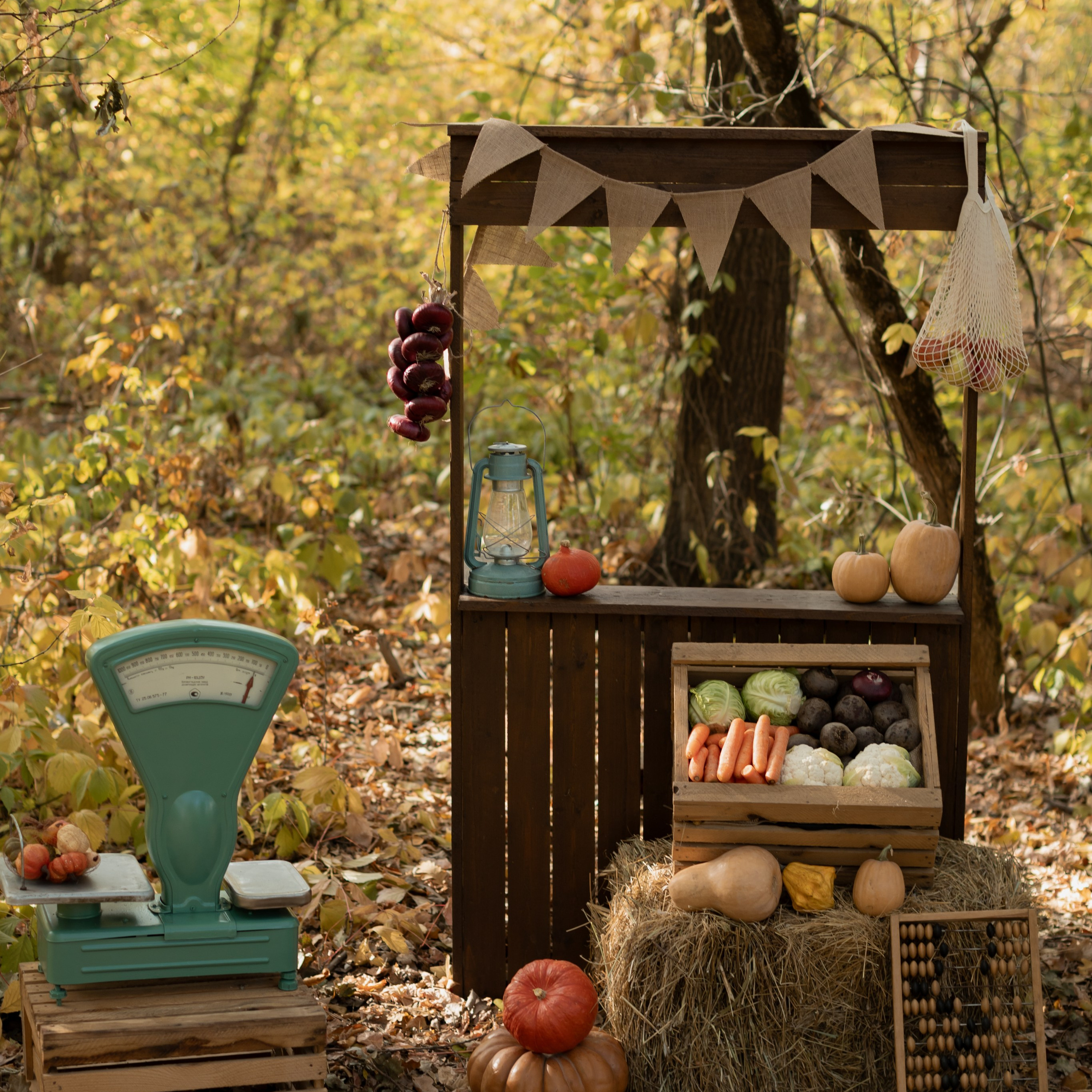 Фотопроекты