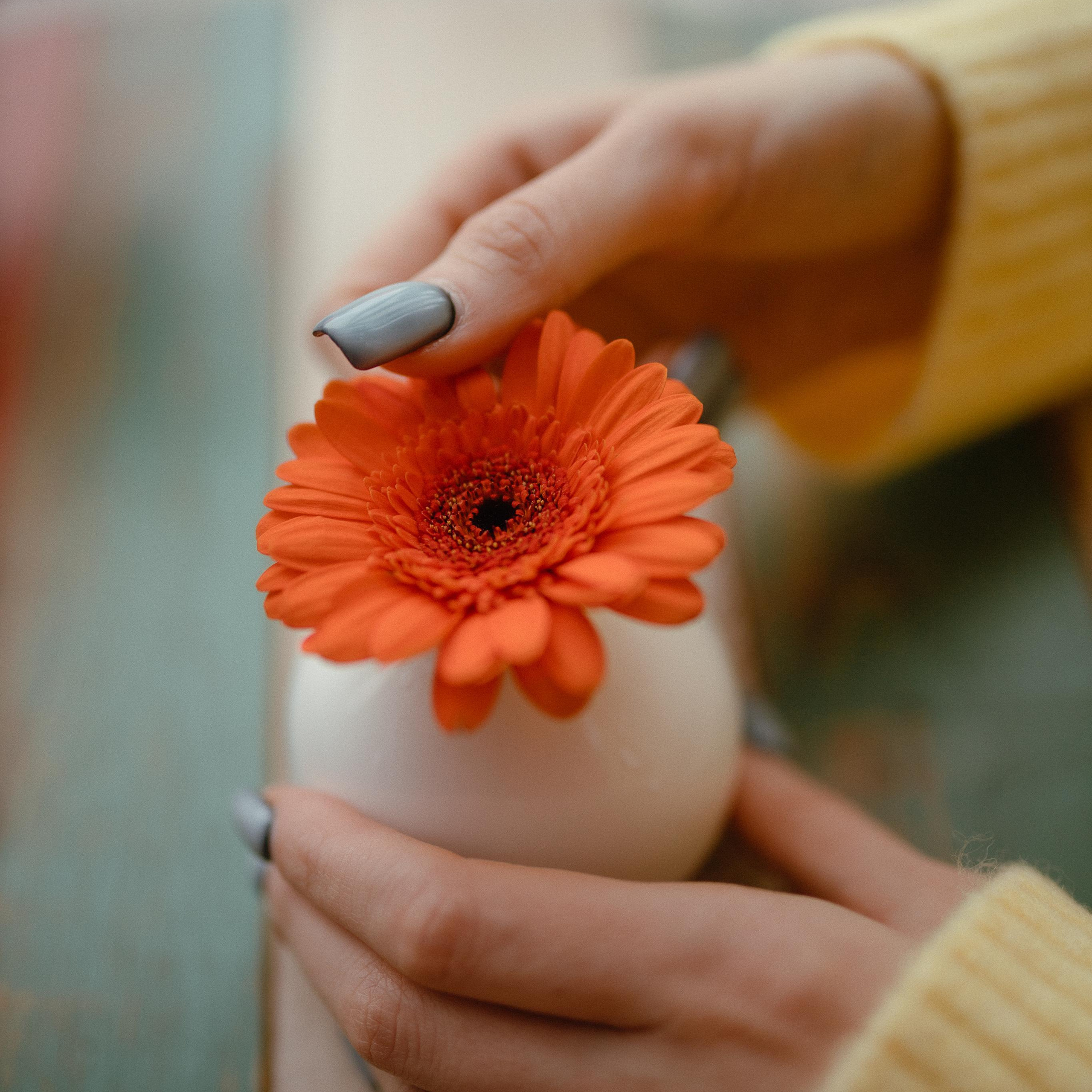 Отзывы. Фотограф Вики Дежавю