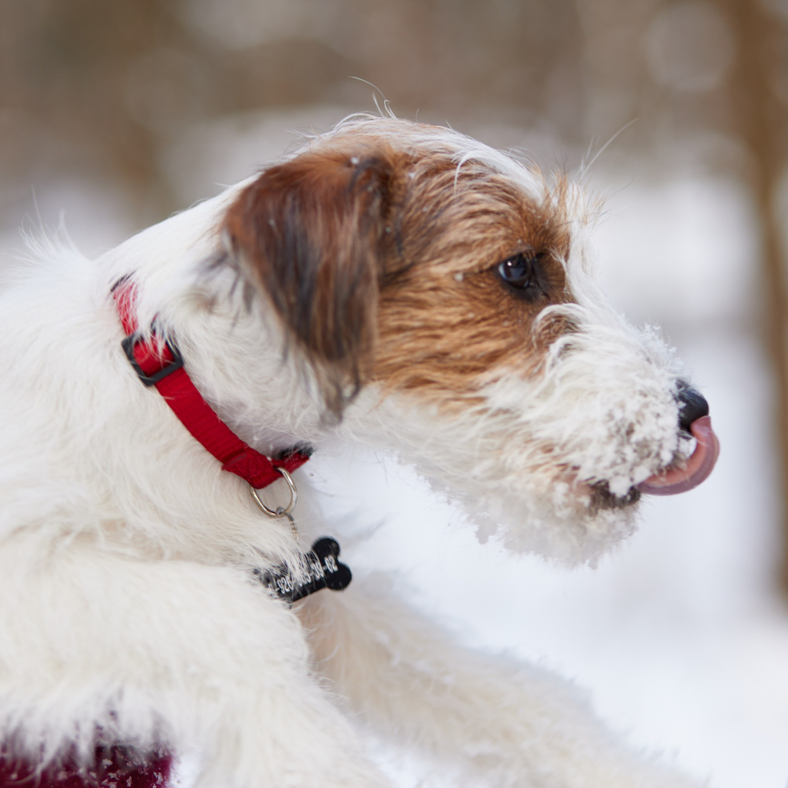 Отзывы. Фотограф Вики Дежавю