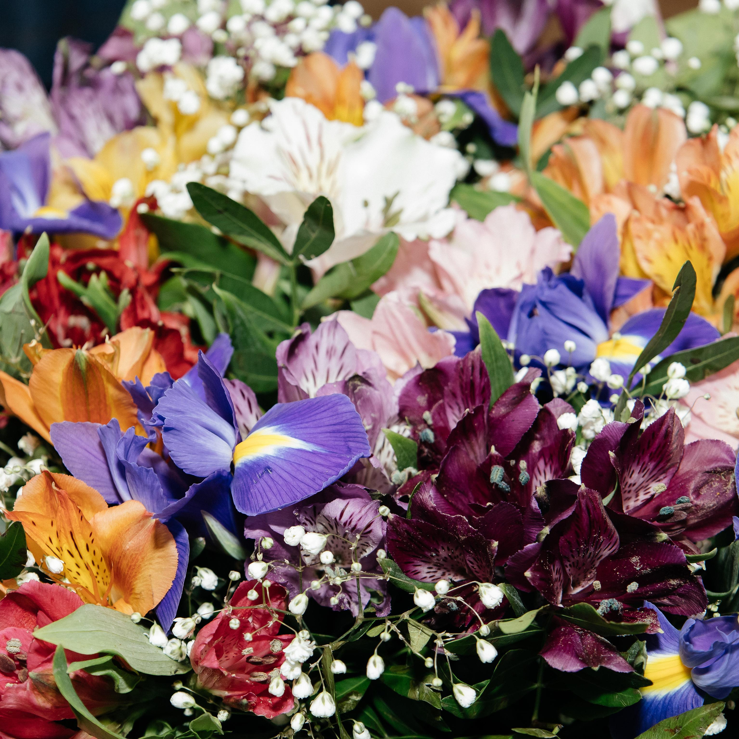 Отзывы. Фотограф Вики Дежавю