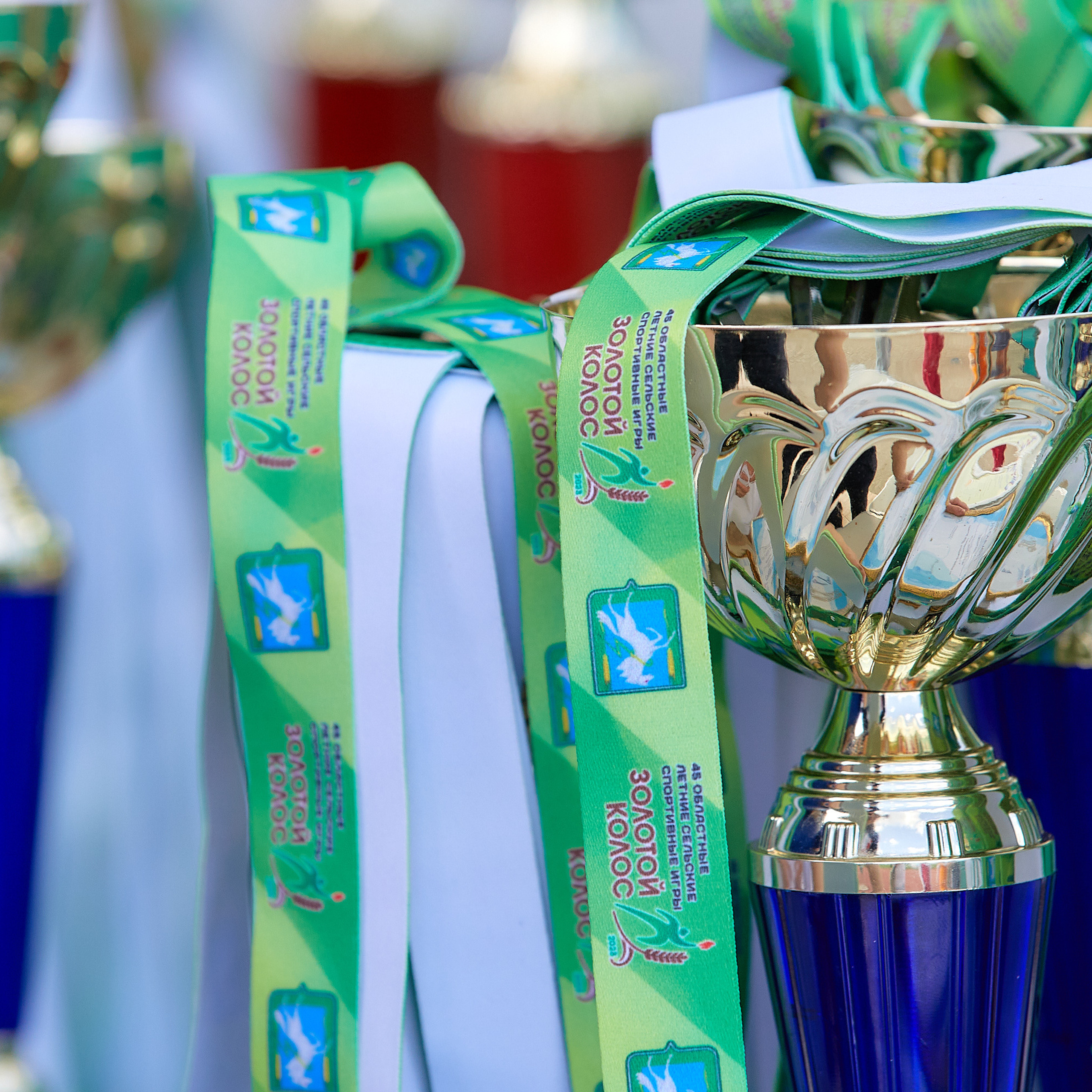 Отзывы. Александр Кашин, репортажный фотограф в Челябинске и Екатеринбурге