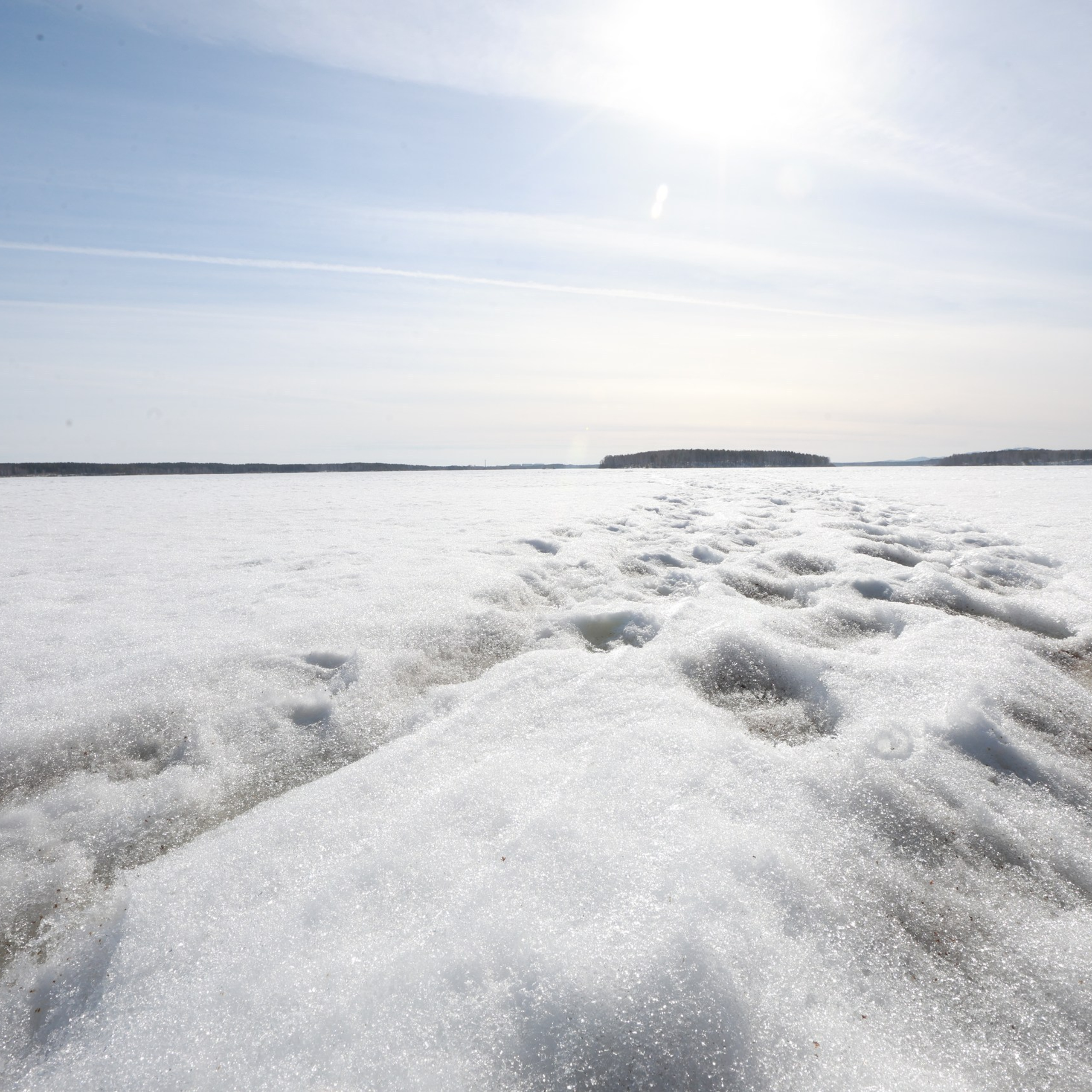 Отзывы. Александр Кашин, репортажный фотограф в Челябинске и Екатеринбурге