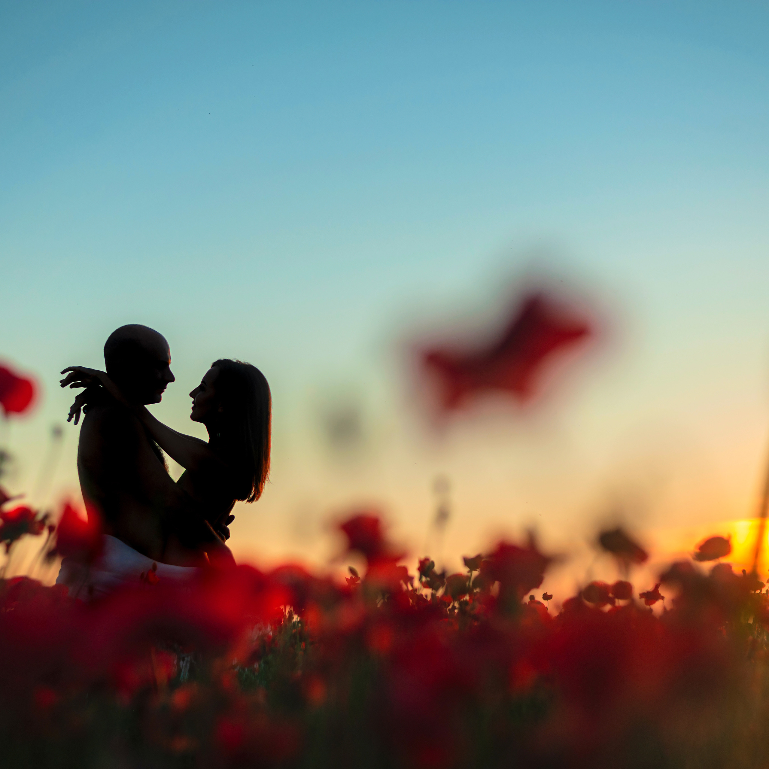 Романтика в маковом поле