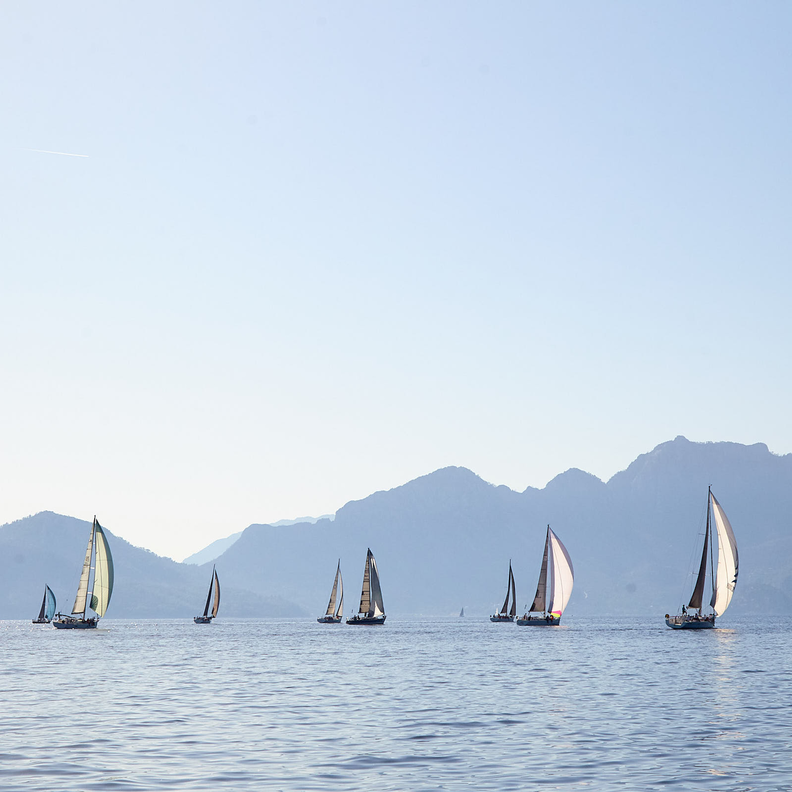 Отзывы. Фотохроника для следующих поколений