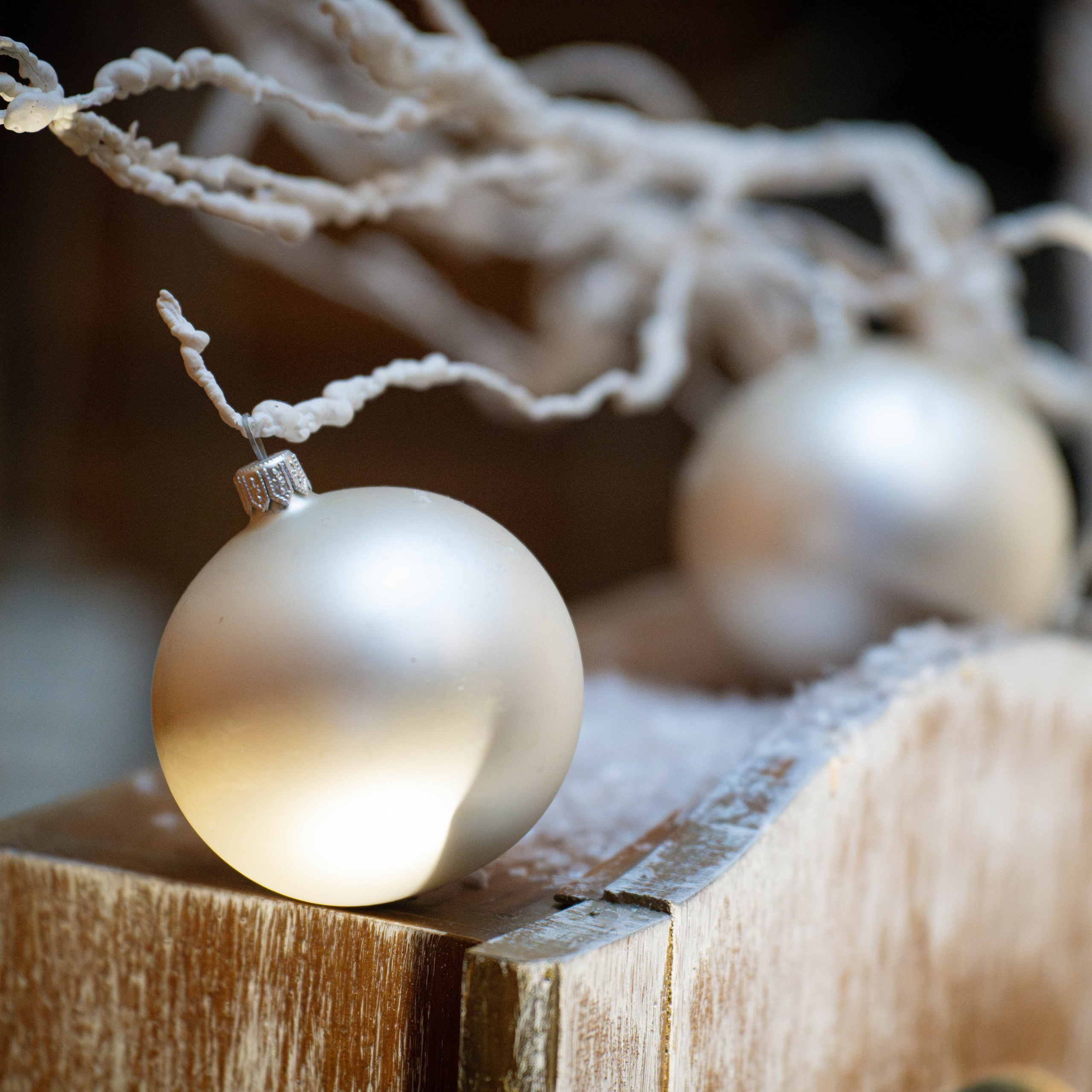 Отзывы. Профессиональный фотограф в Нижнем Новгороде — ФотоLEON