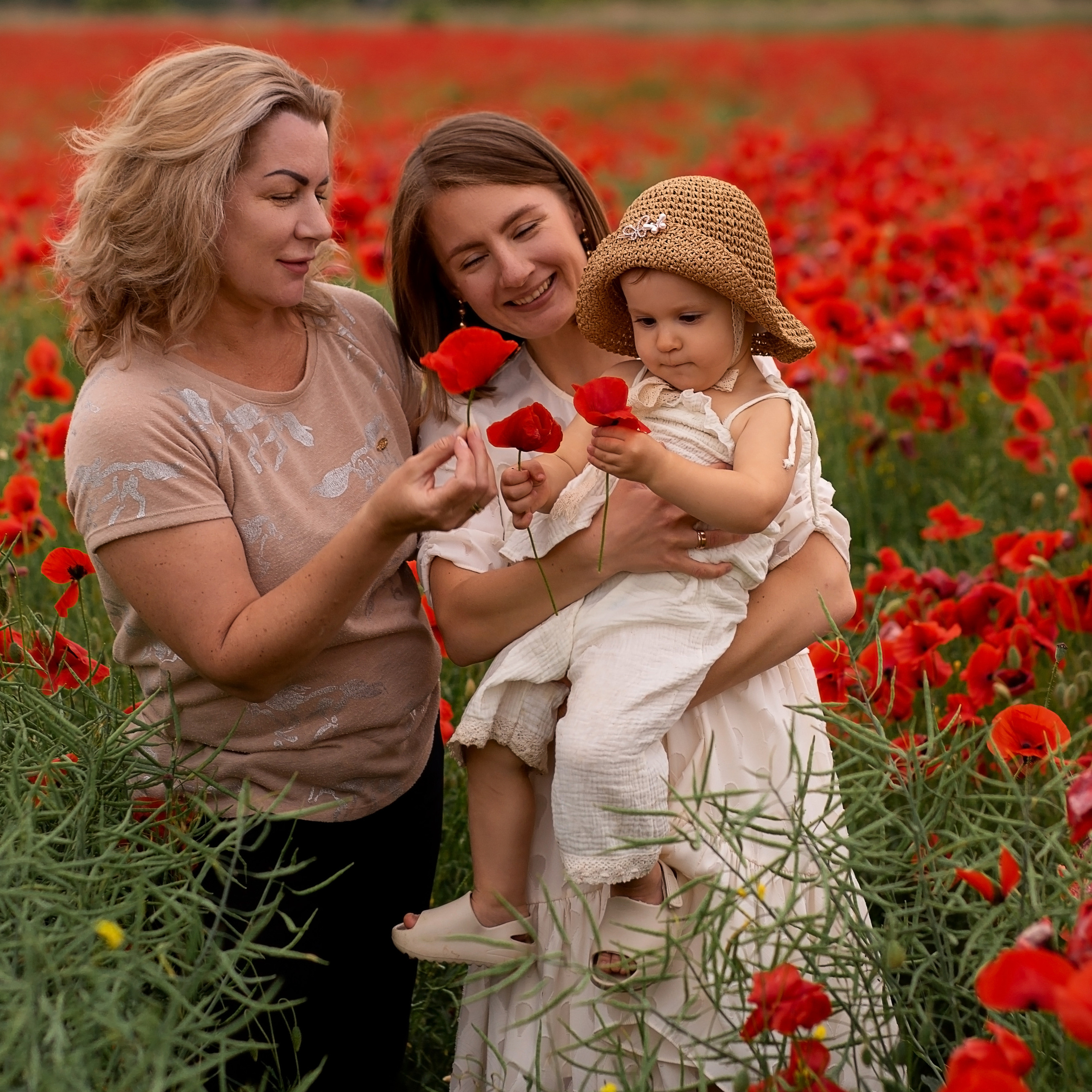 Маковое поле