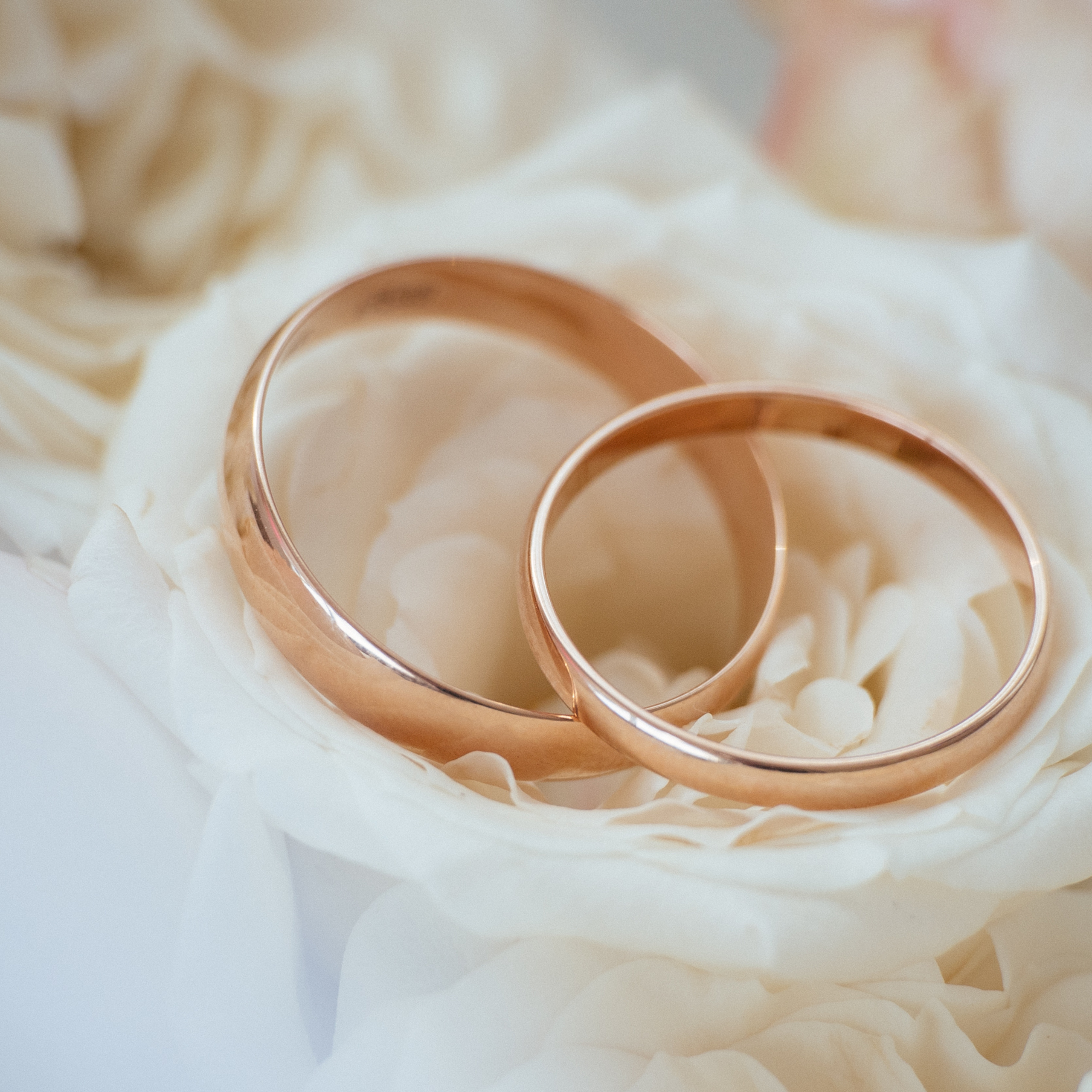 Отзывы о работе свадебного и семейного фотографа Ксении Шекк в Екатери. Свадебный и семейный фотограф Ксения Шекк Екатеринбург