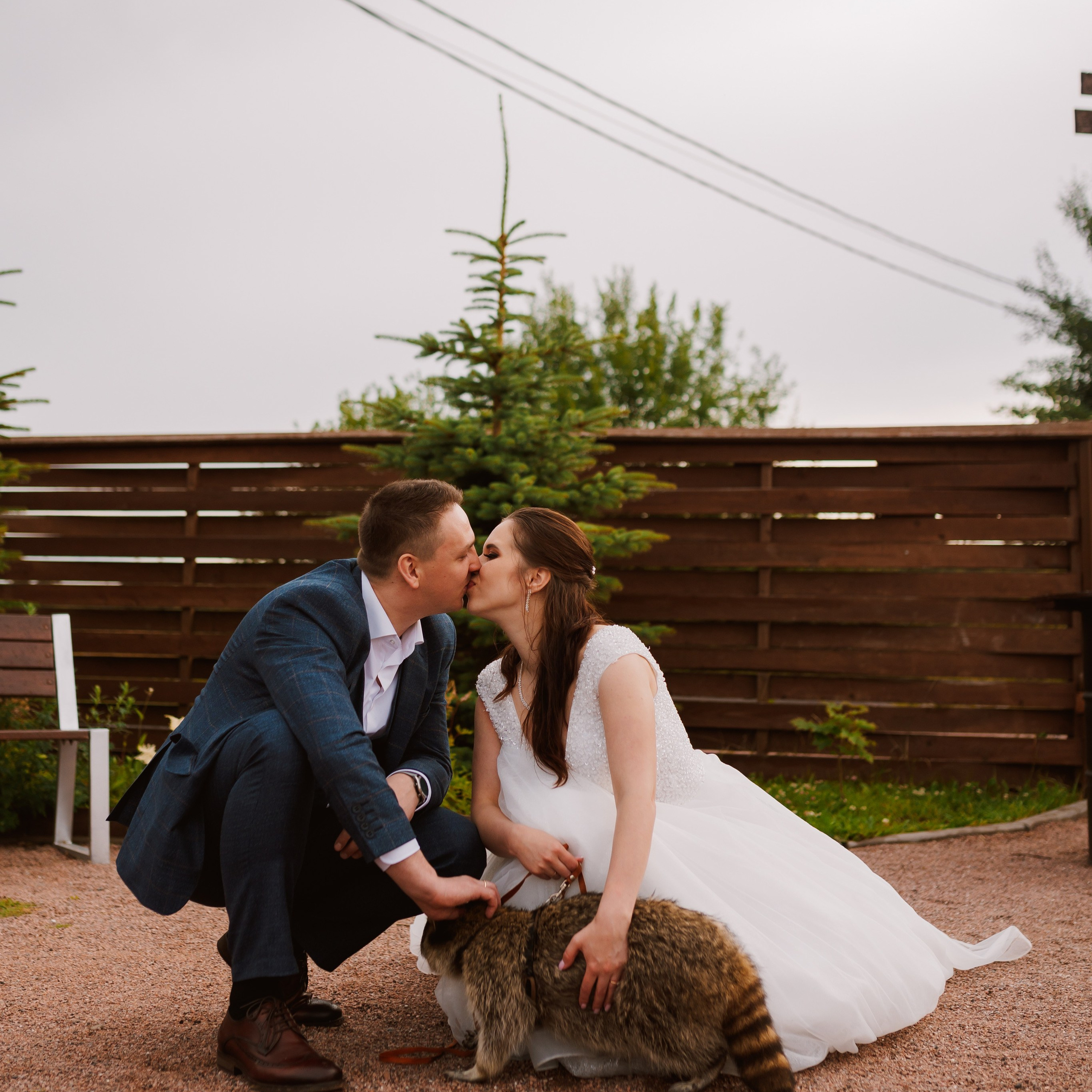 Отзывы. Свадебный фотограф в Санкт-Петербурге Панькова Марина Pankova.wedding