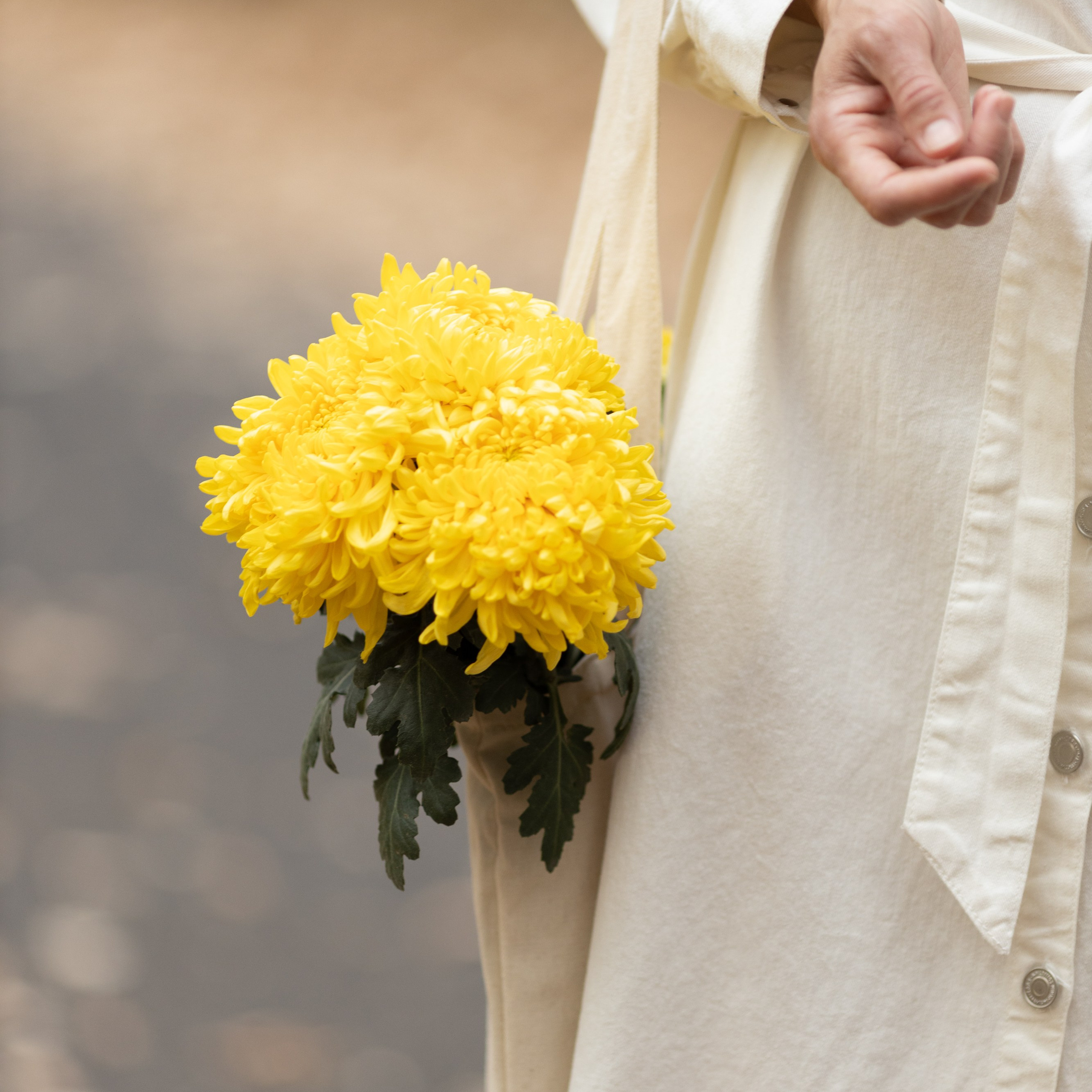 Отзывы. Свадебный и семейный фотограф в Краснодаре и Сочи, Зотова Диана