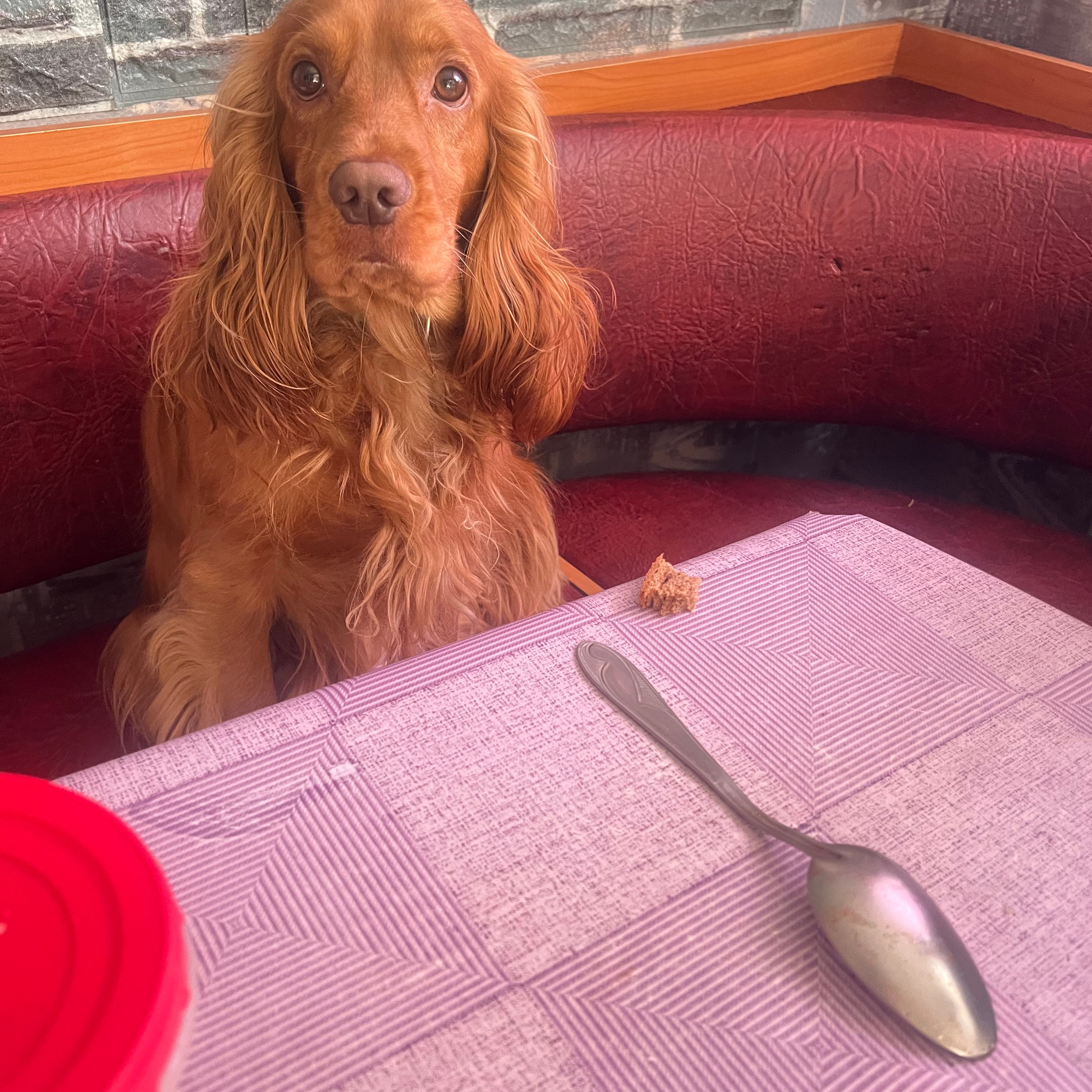 Отзывы. ВЫПУСКНЫЕ АЛЬБОМЫ & ДЕТСКИЕ ФОТОПРОЕКТЫ | ФОТОlike_Крым