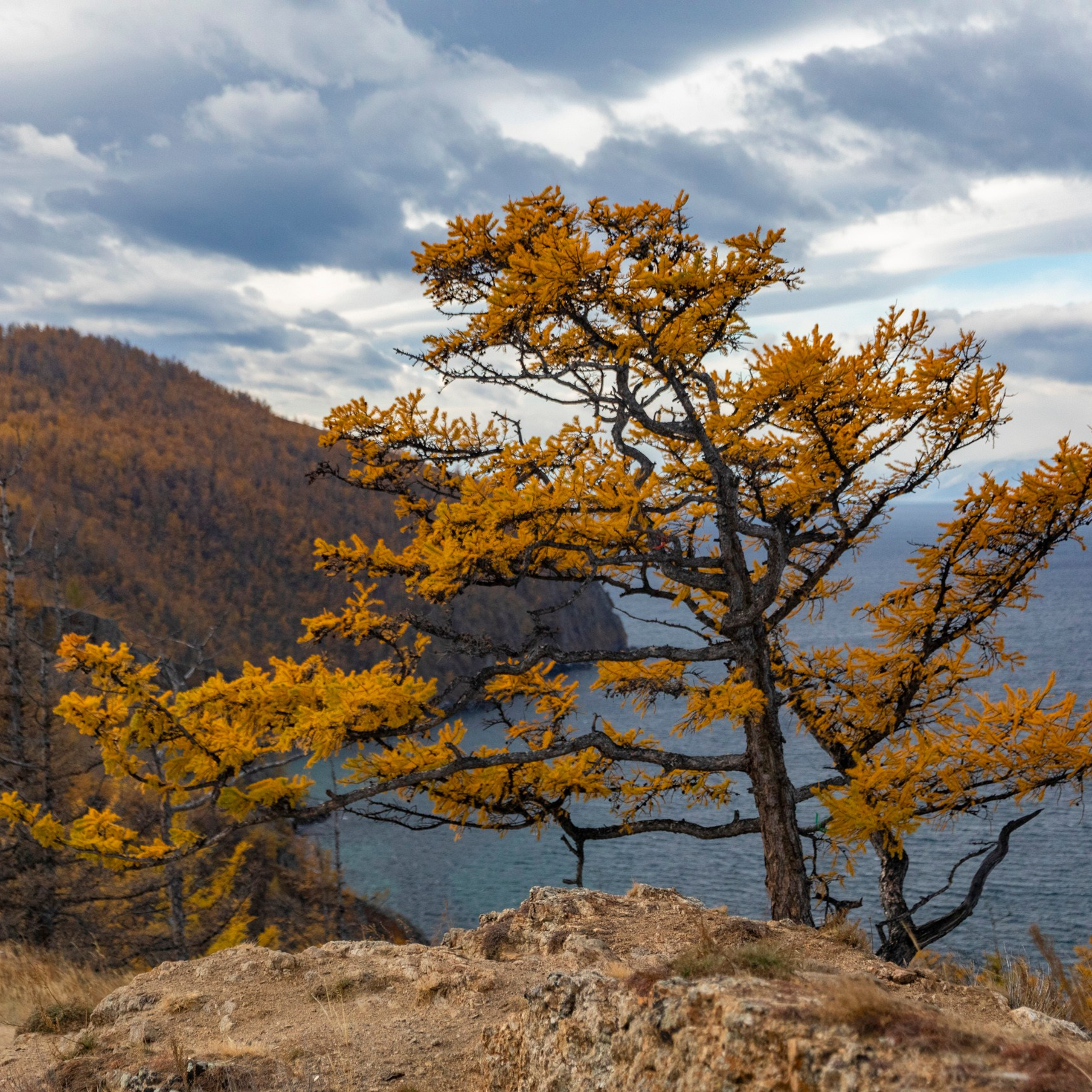 Ольхон в октябре