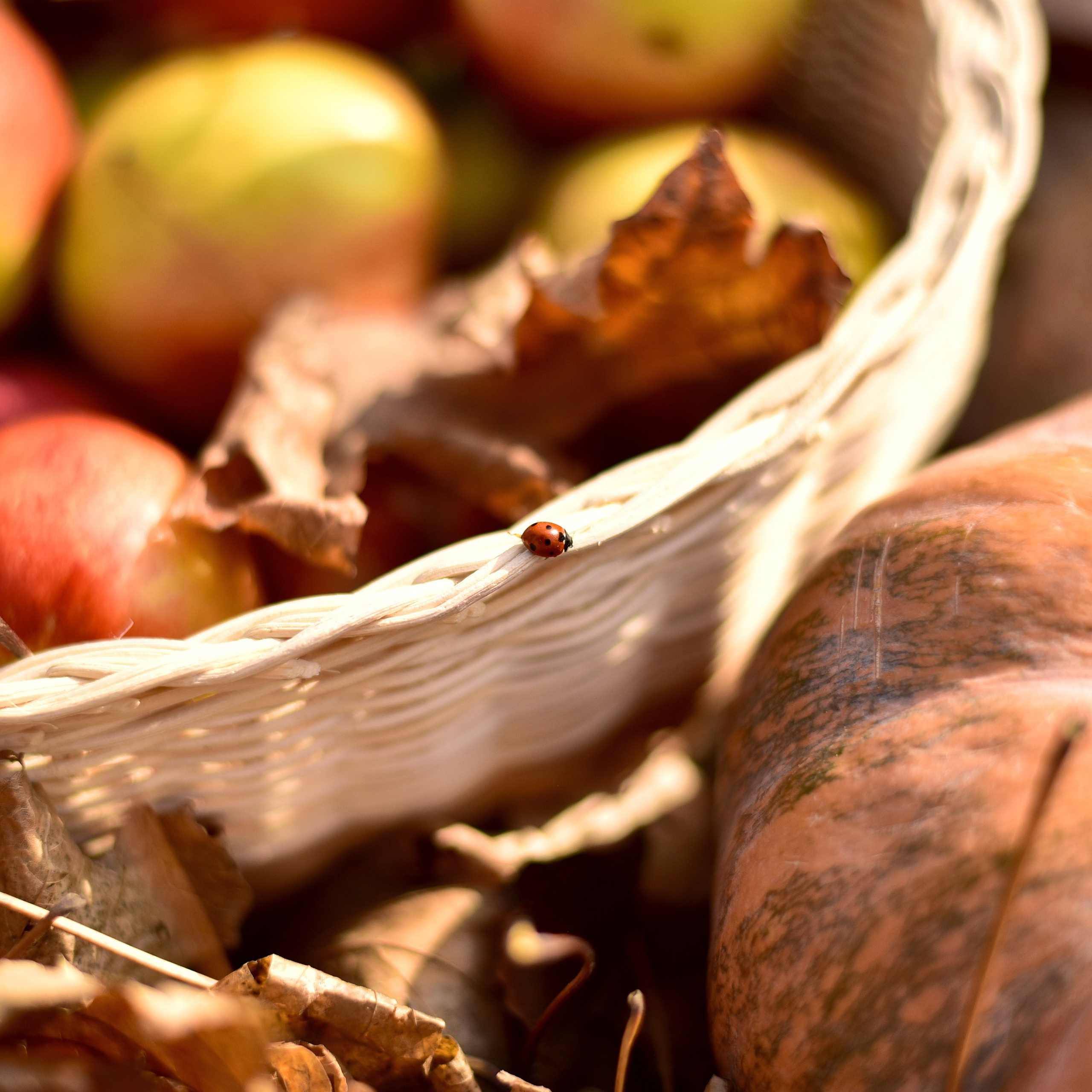 Отзывы. Фотограф Новочеркасск Ростов Карина Чернова
