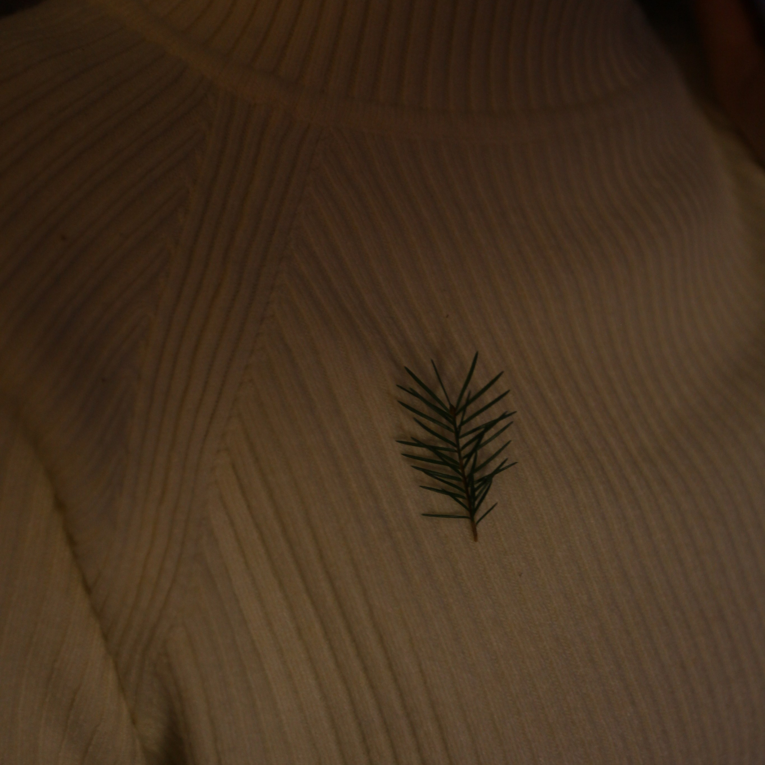 Отзывы. Фотостудия UPART