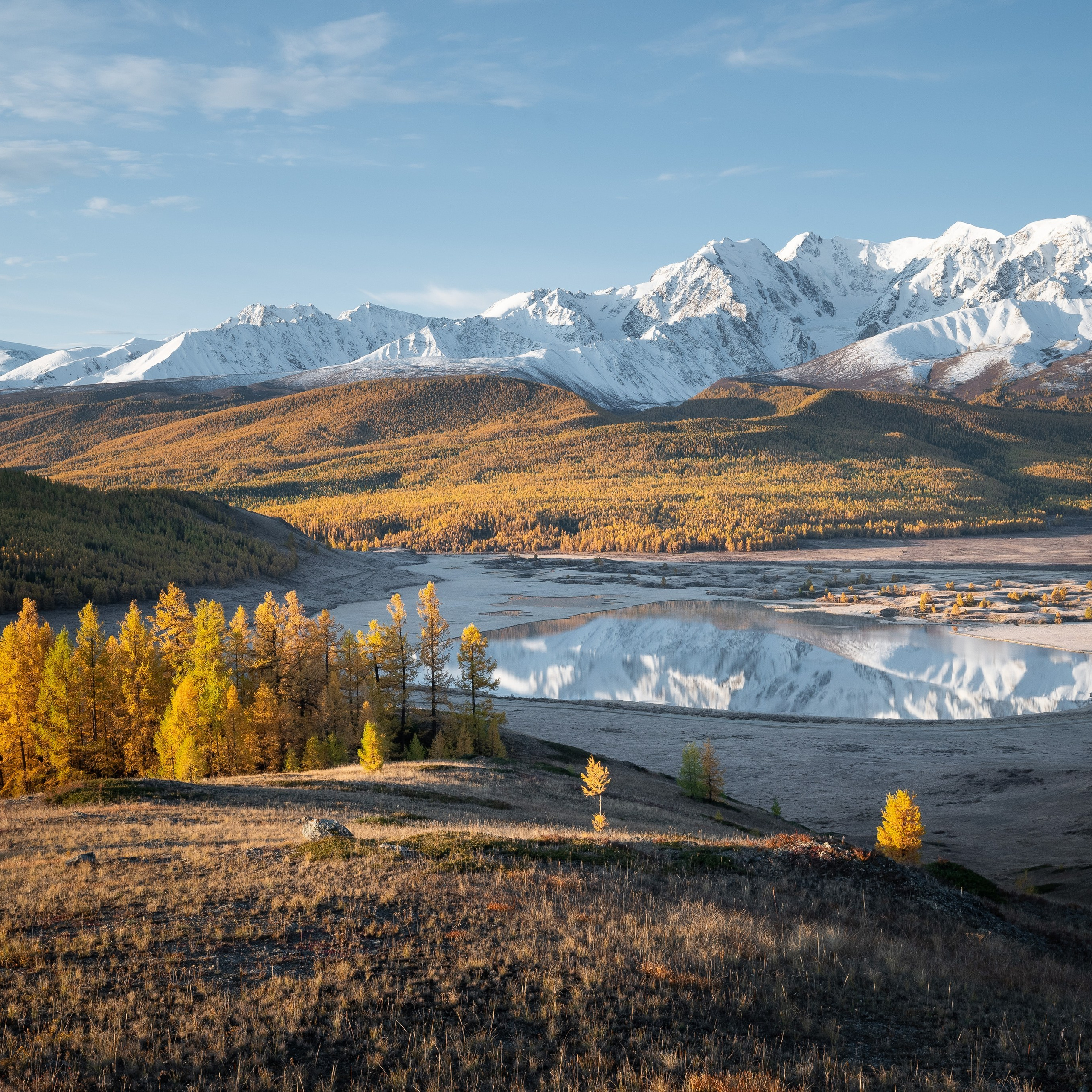 Антон и Татьяна Денисенко