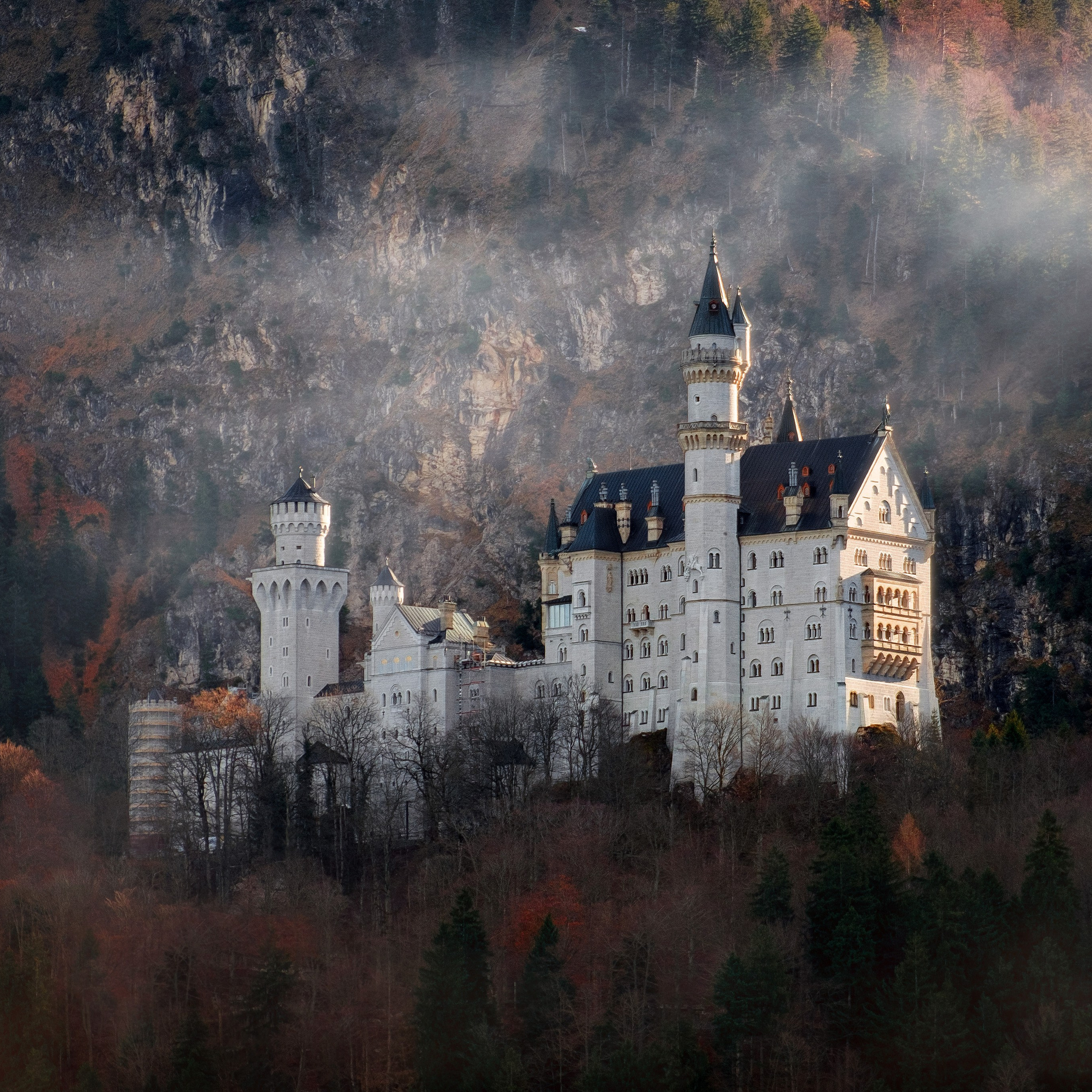 Антон и Татьяна Денисенко