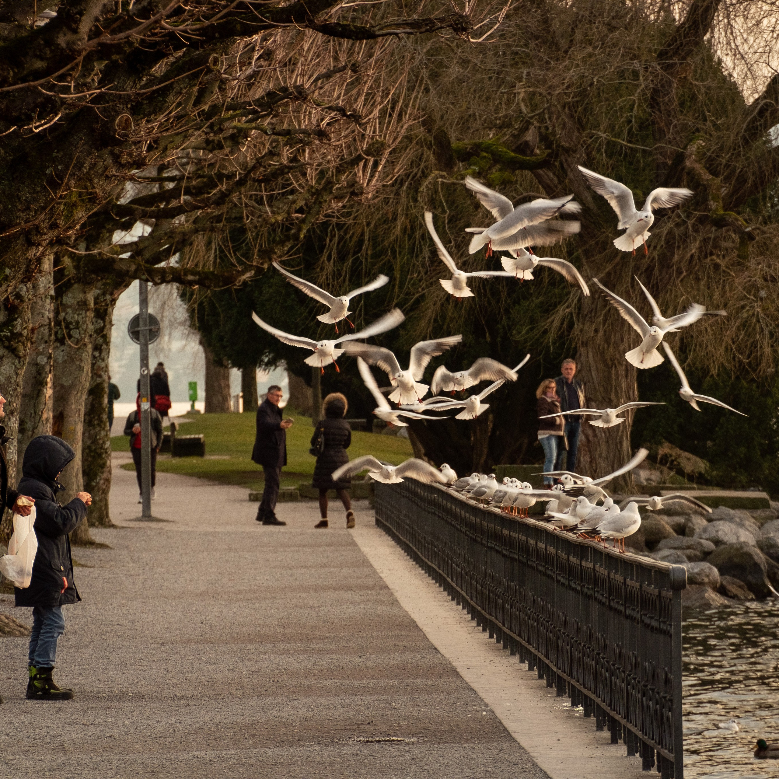 Антон и Татьяна Денисенко