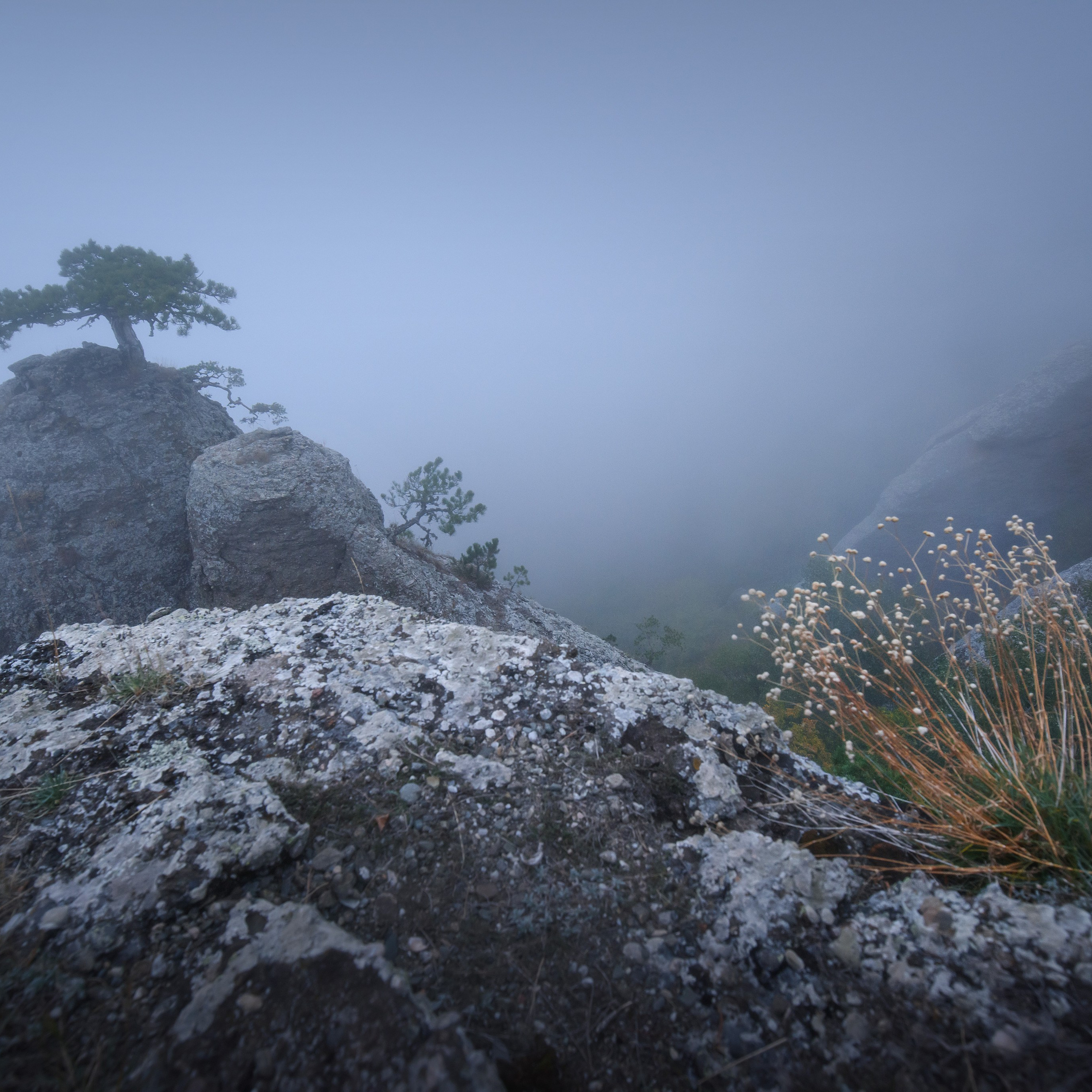 Антон и Татьяна Денисенко