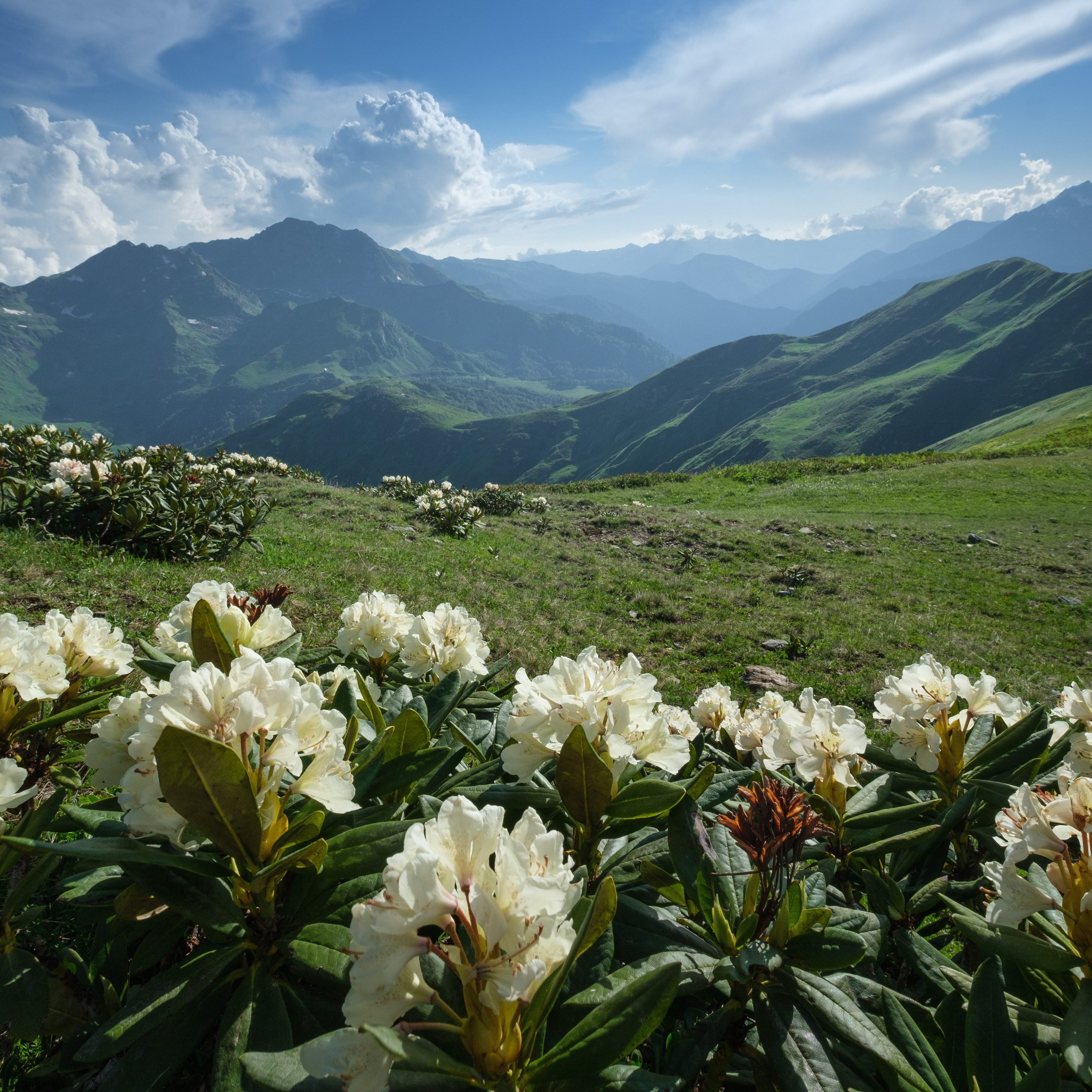Антон и Татьяна Денисенко