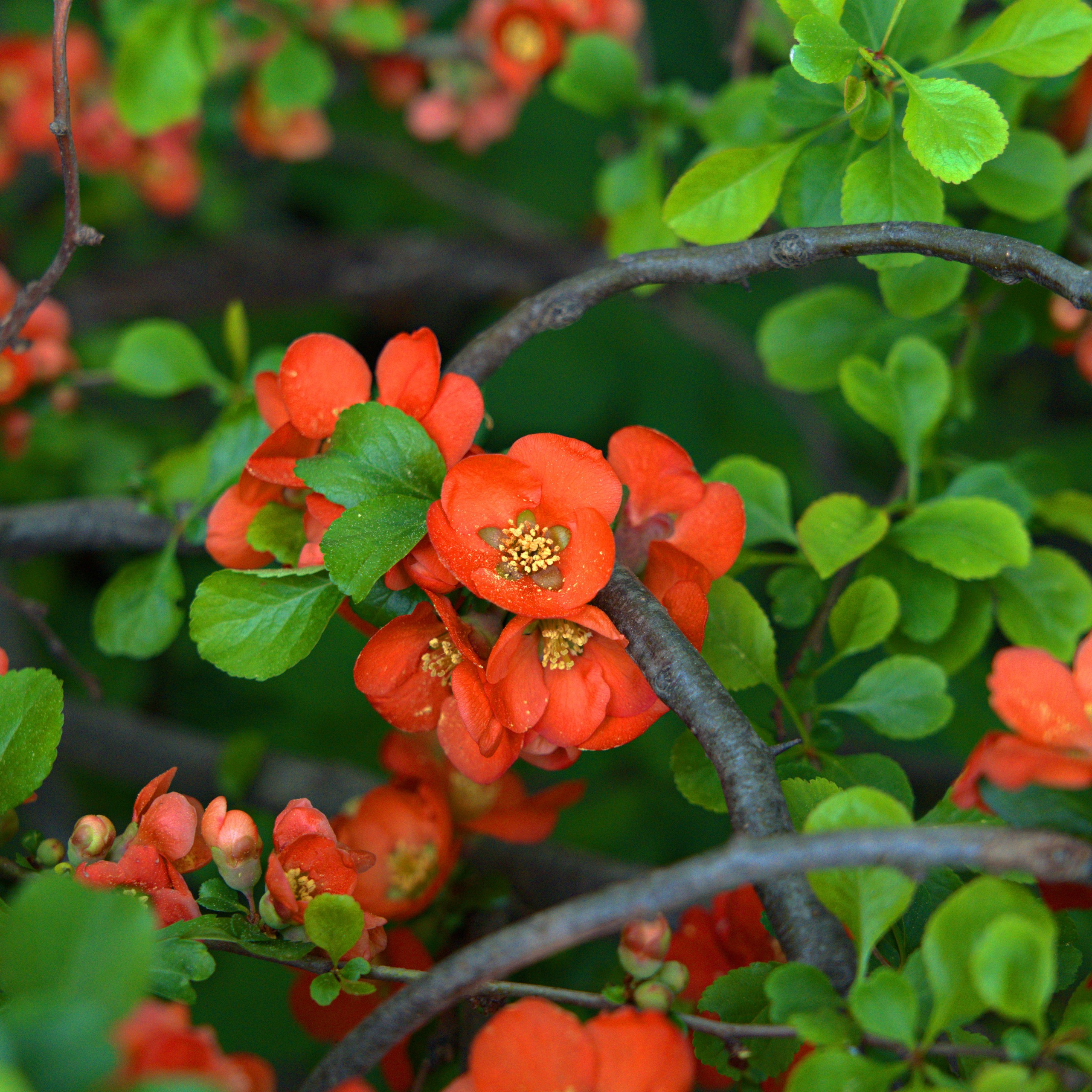 Музей-Заповедник «Царицыно» | 2025