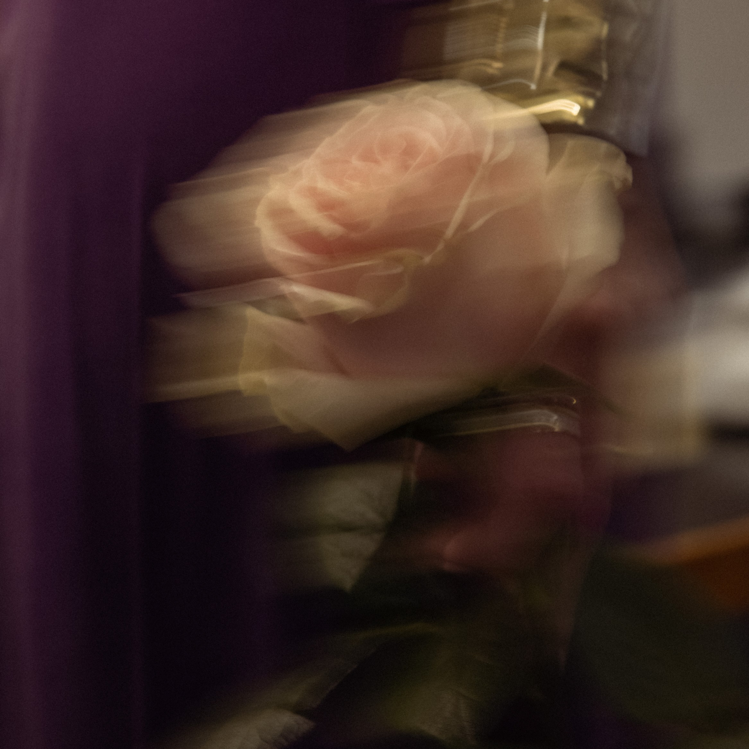 Арт встреча. Цветы и балет.