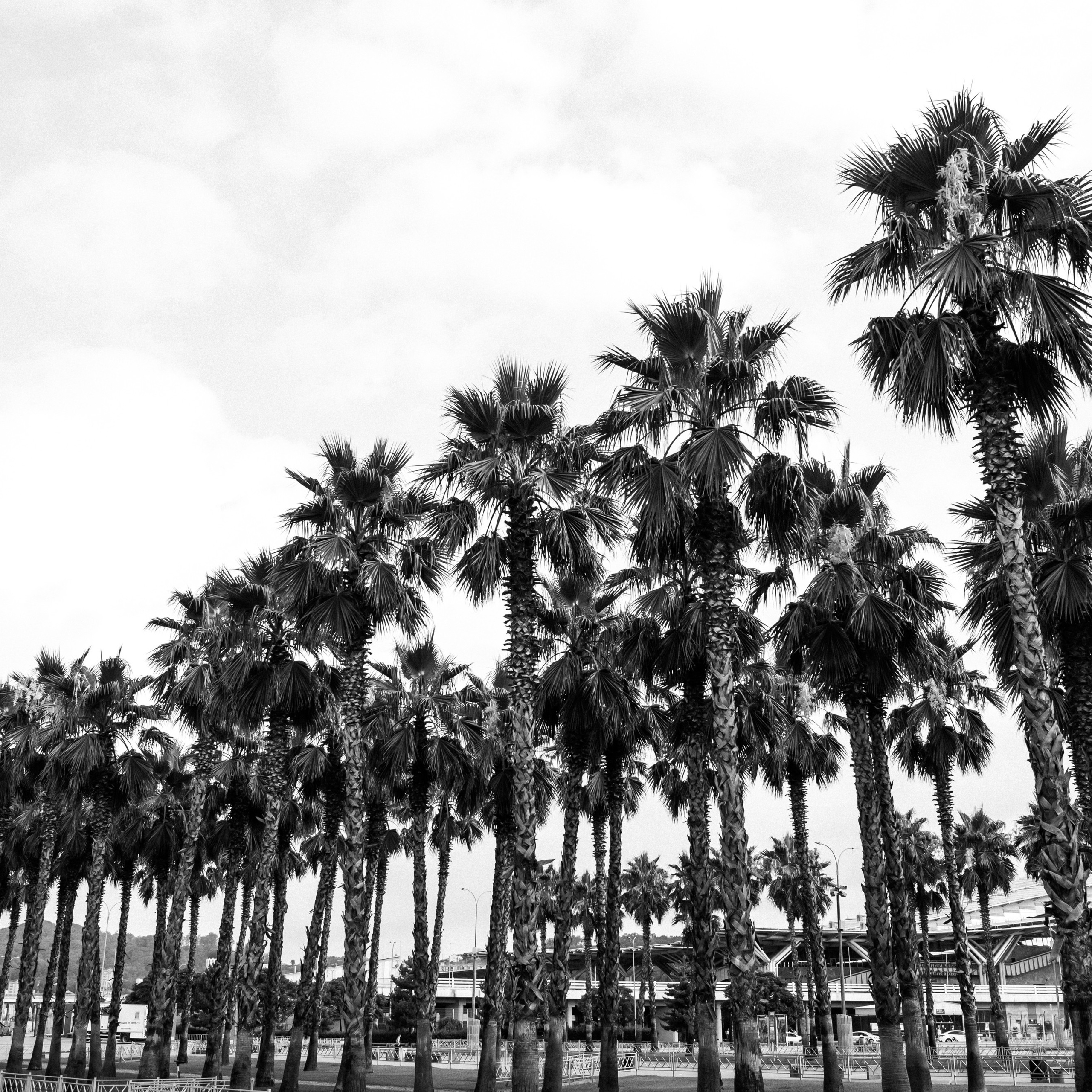 Feed Back. Fusion Wedding Photographer