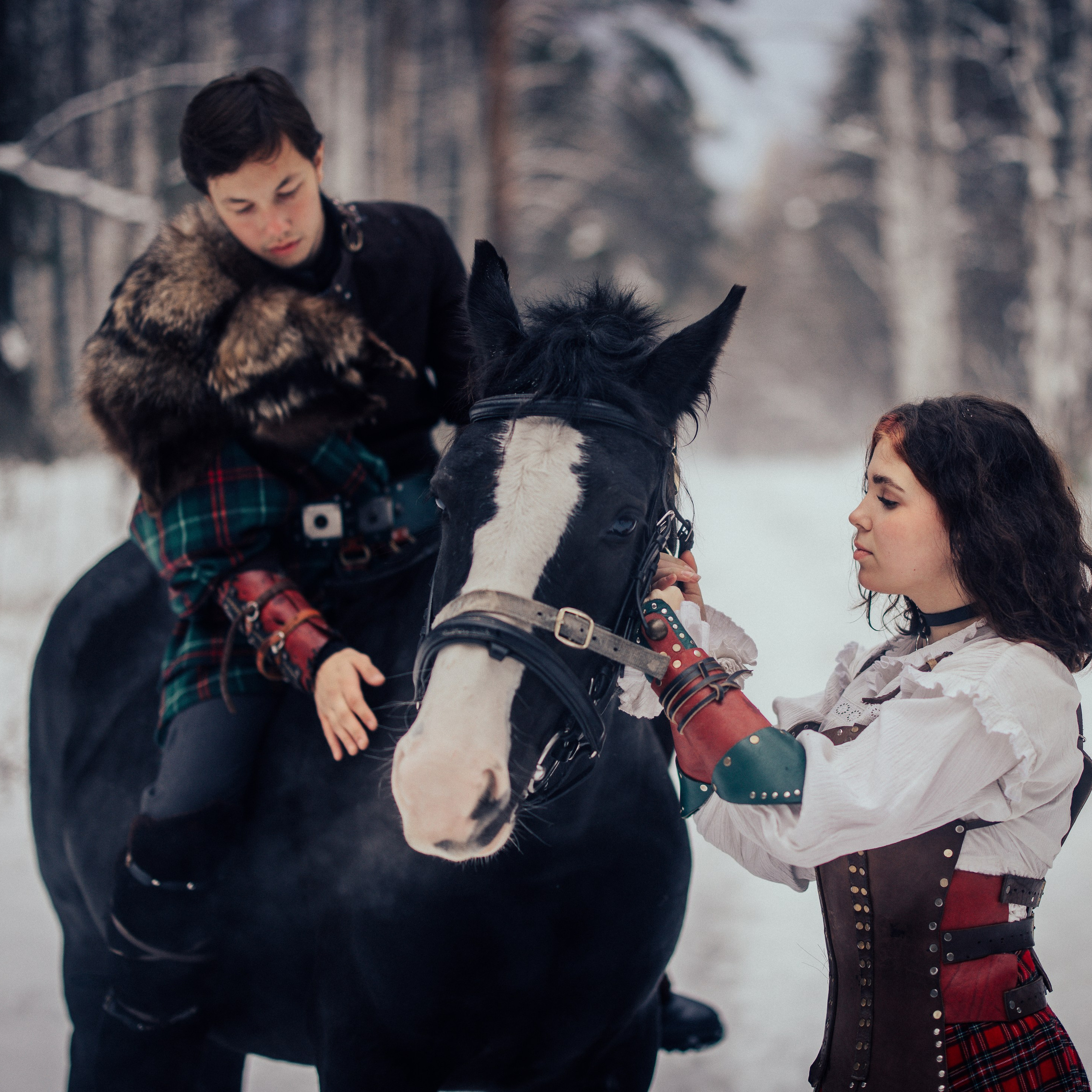 Шотландское