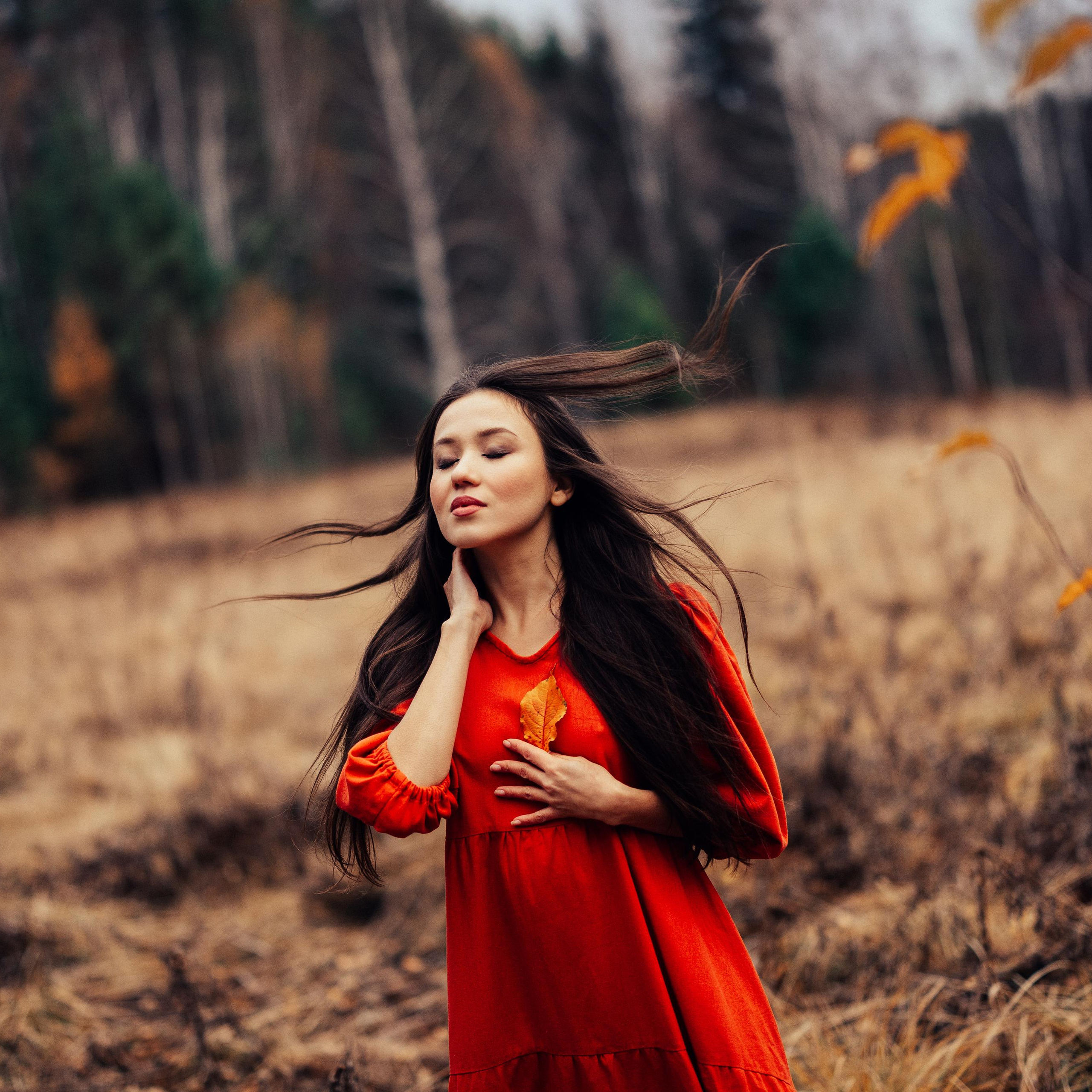 Про песни ветра