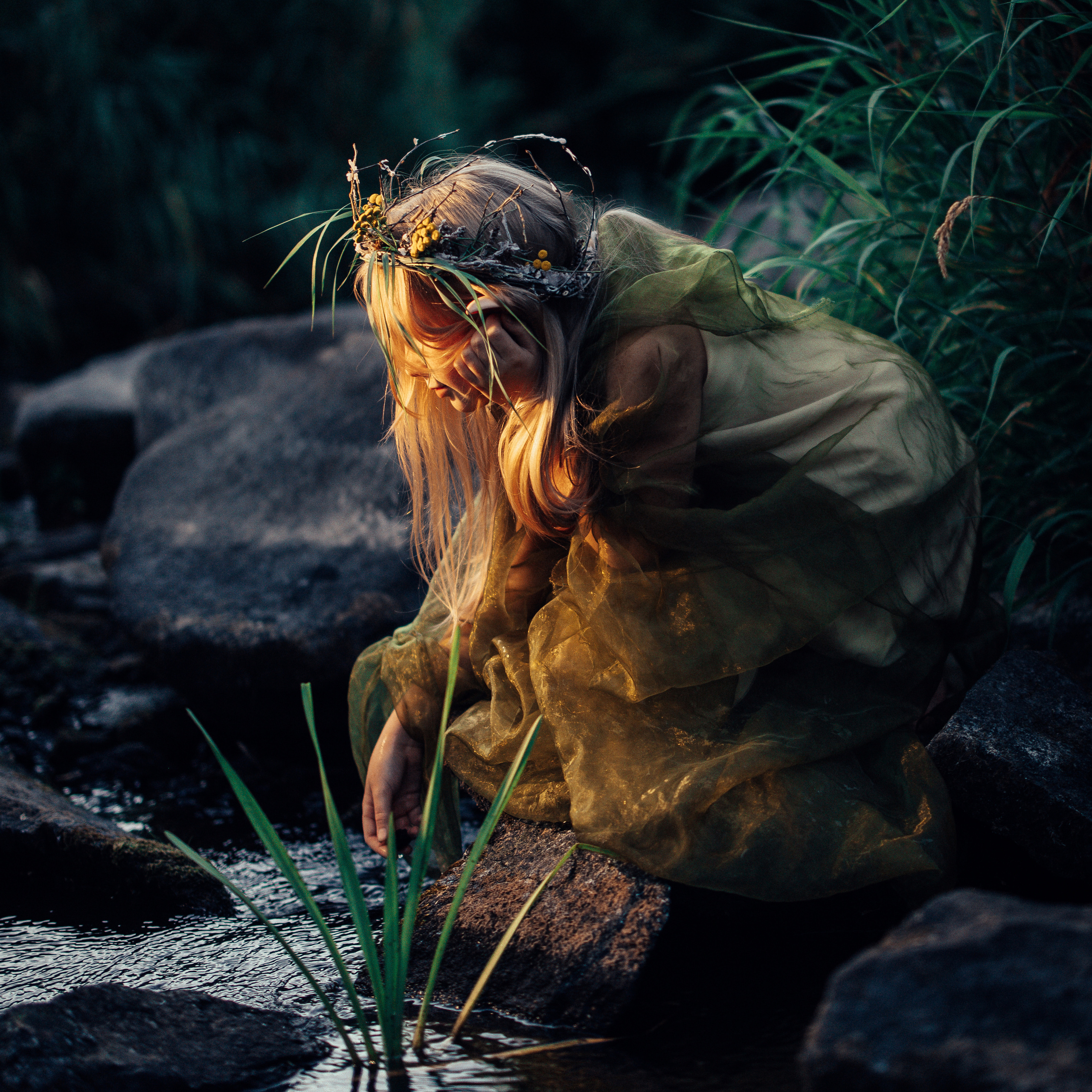 Маленький страж лесного ручейка