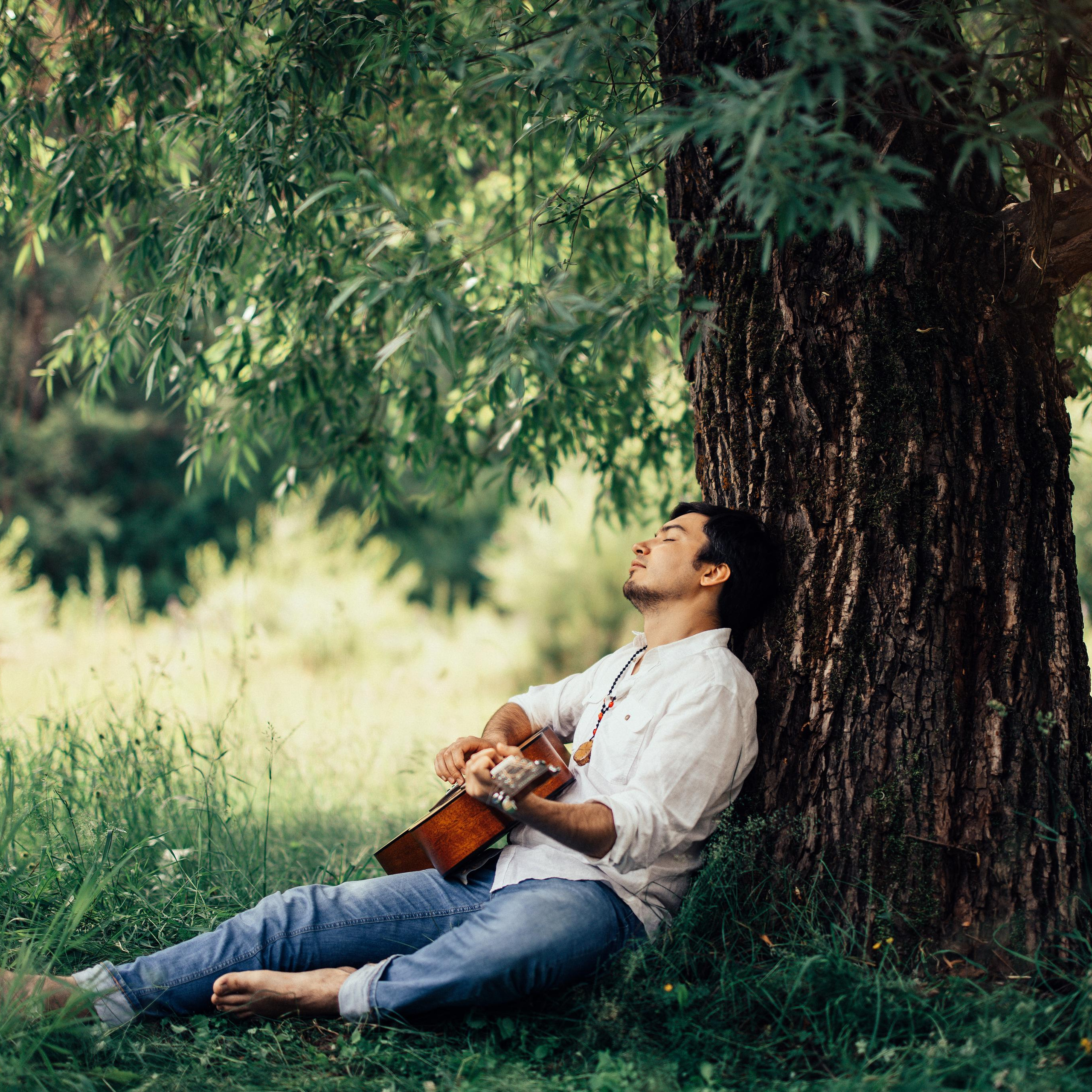 Под старой ивой