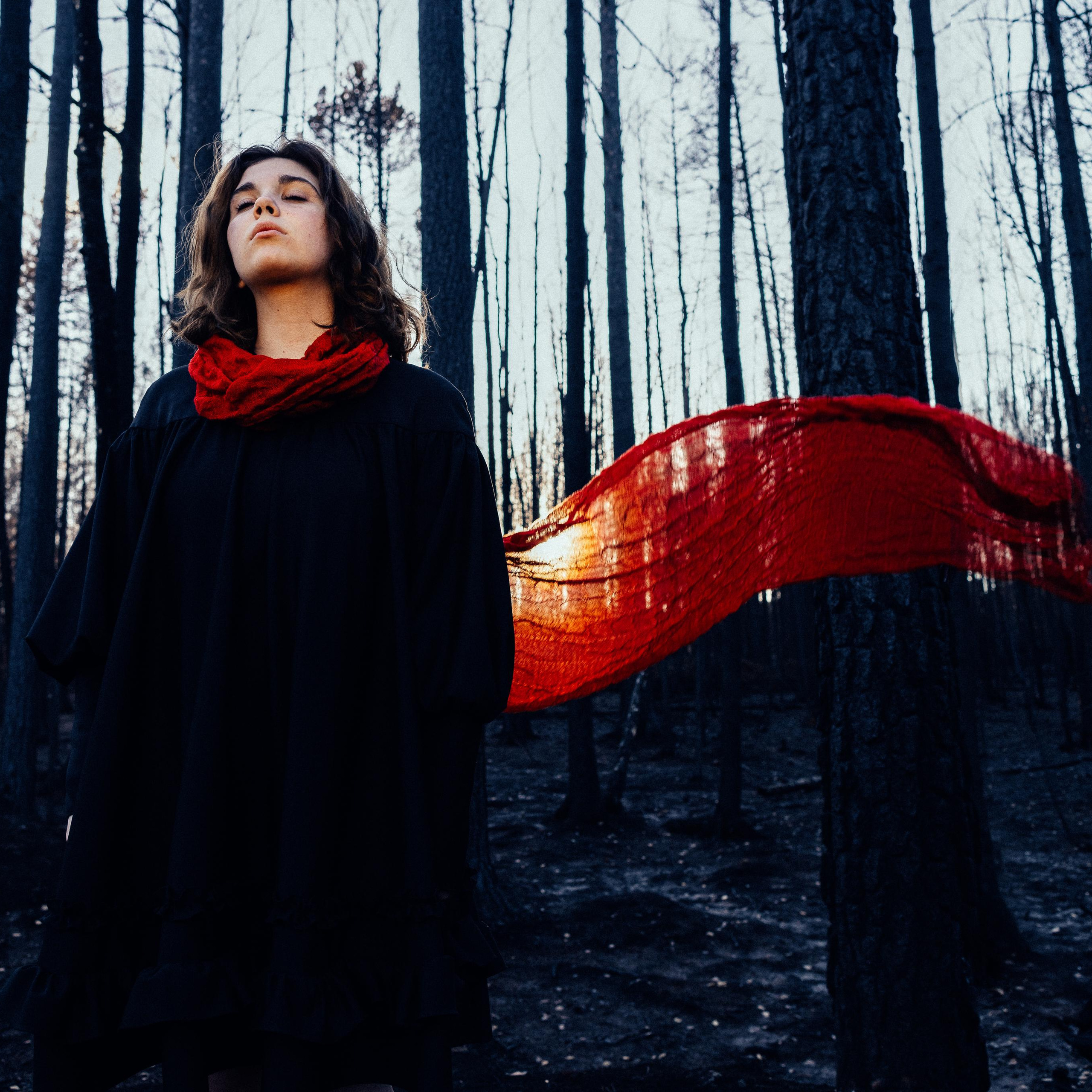 О чем молчит лес