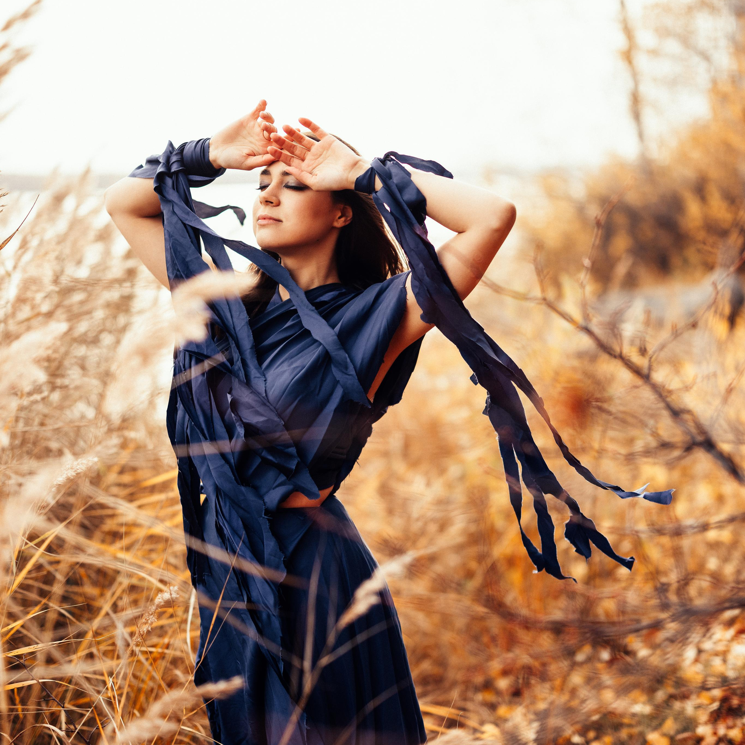 Синяя птица