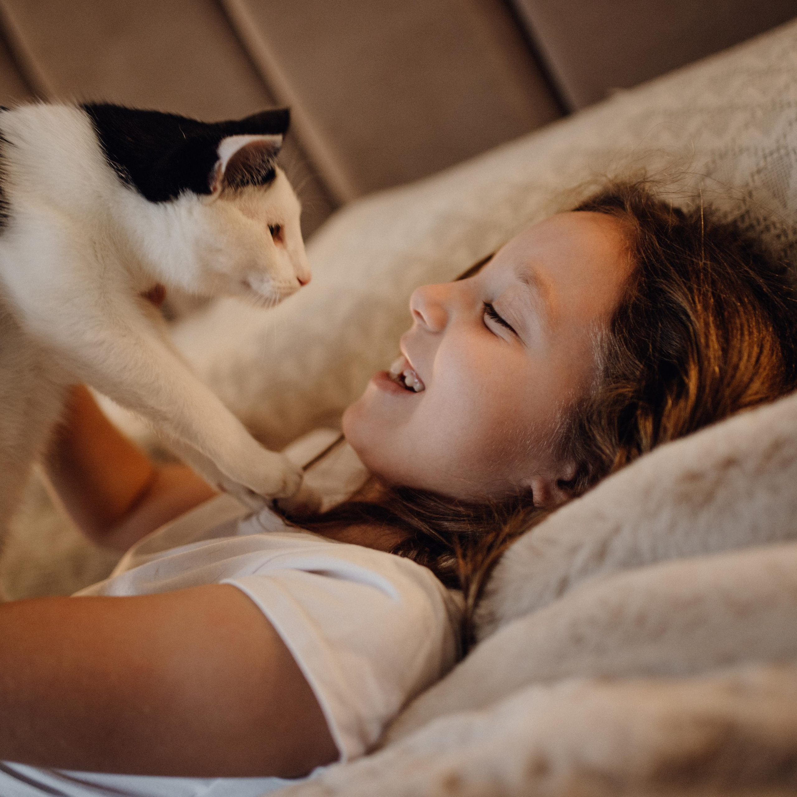 Мирослава и компания