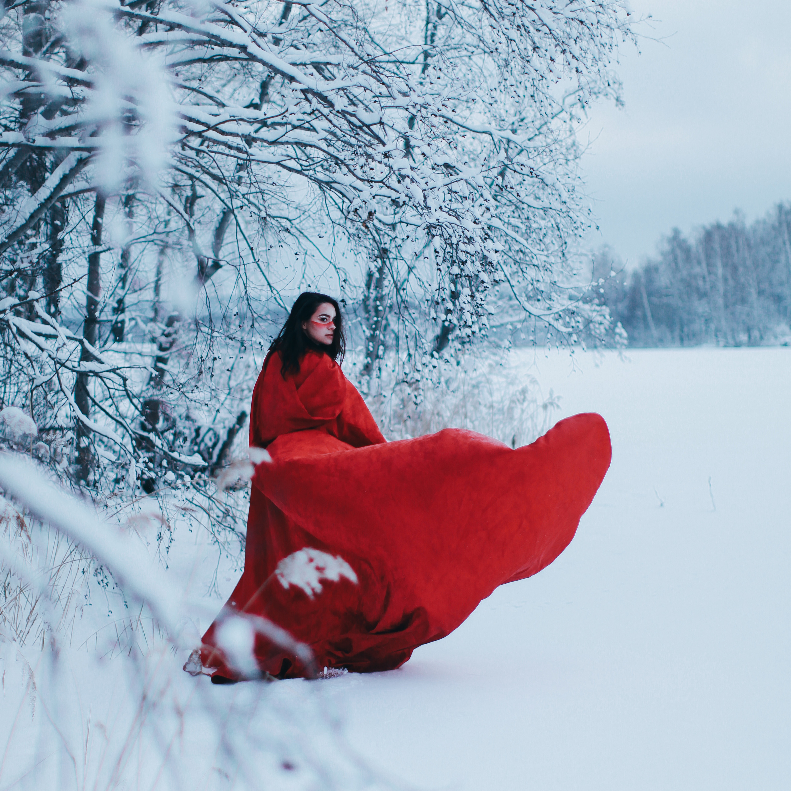 Из вихря, холода и света…