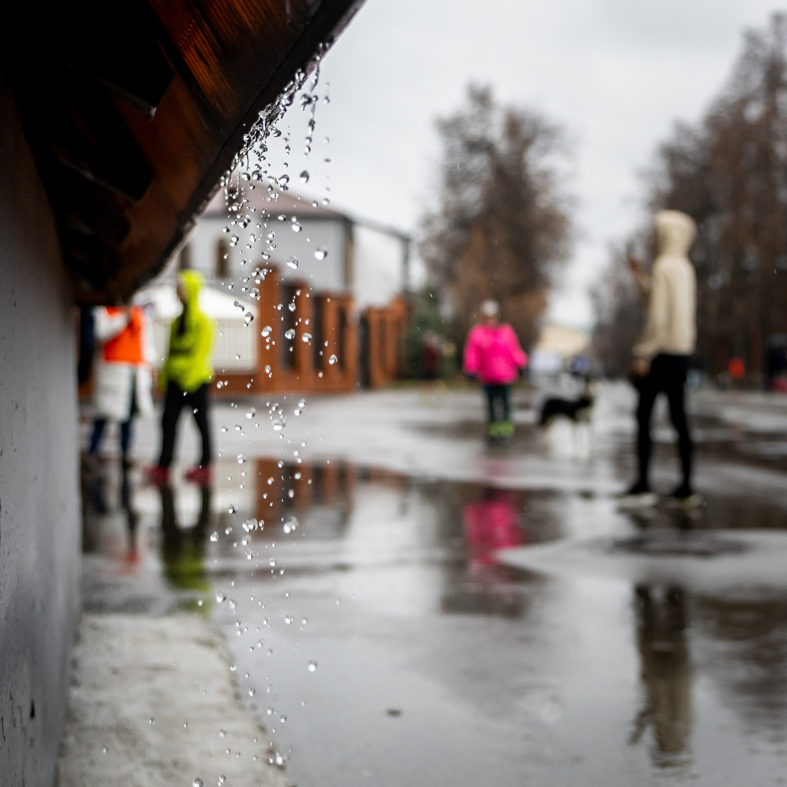 Беговой клуб 5 вёрст. 15&nbsp;ноября 2025