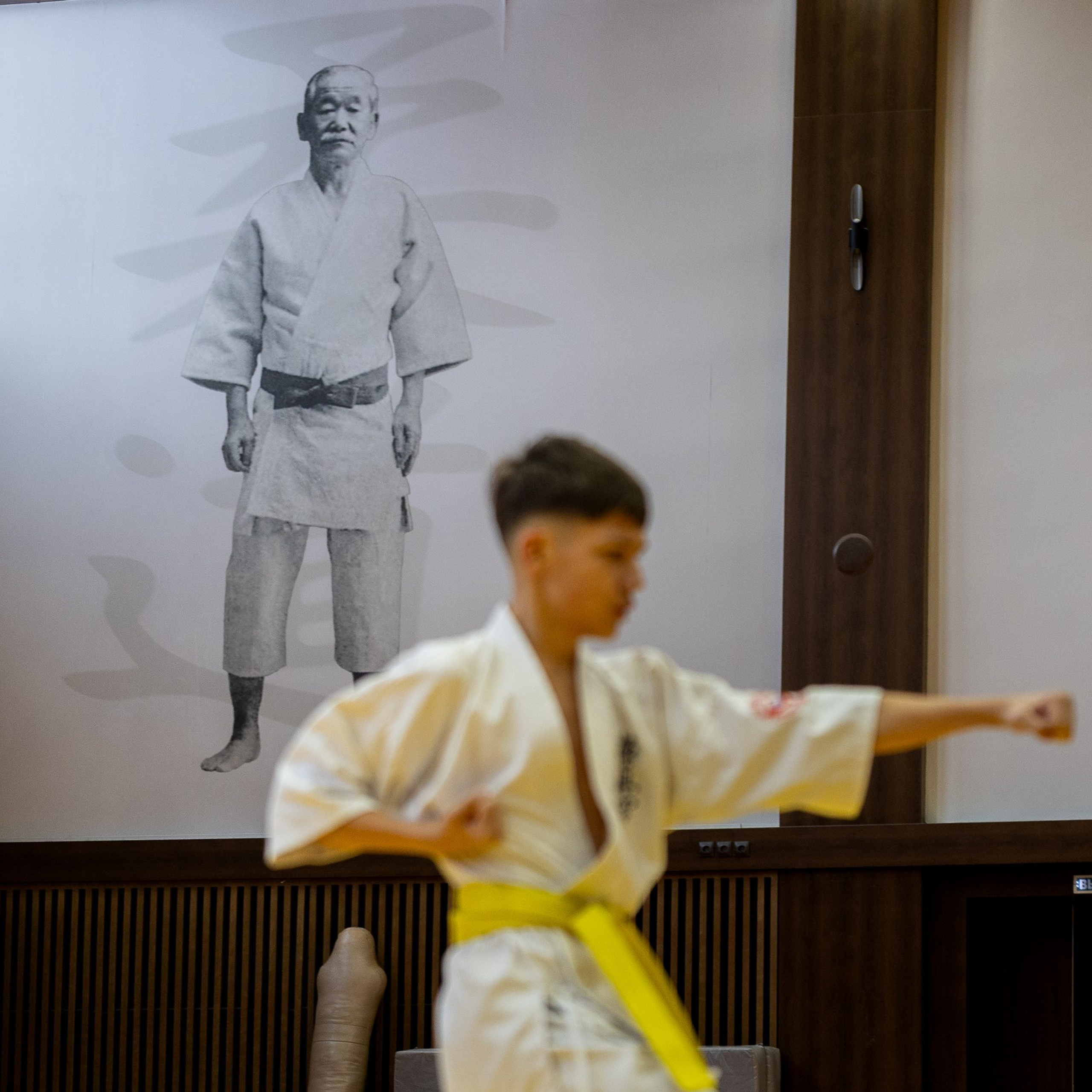 Карате. Ката