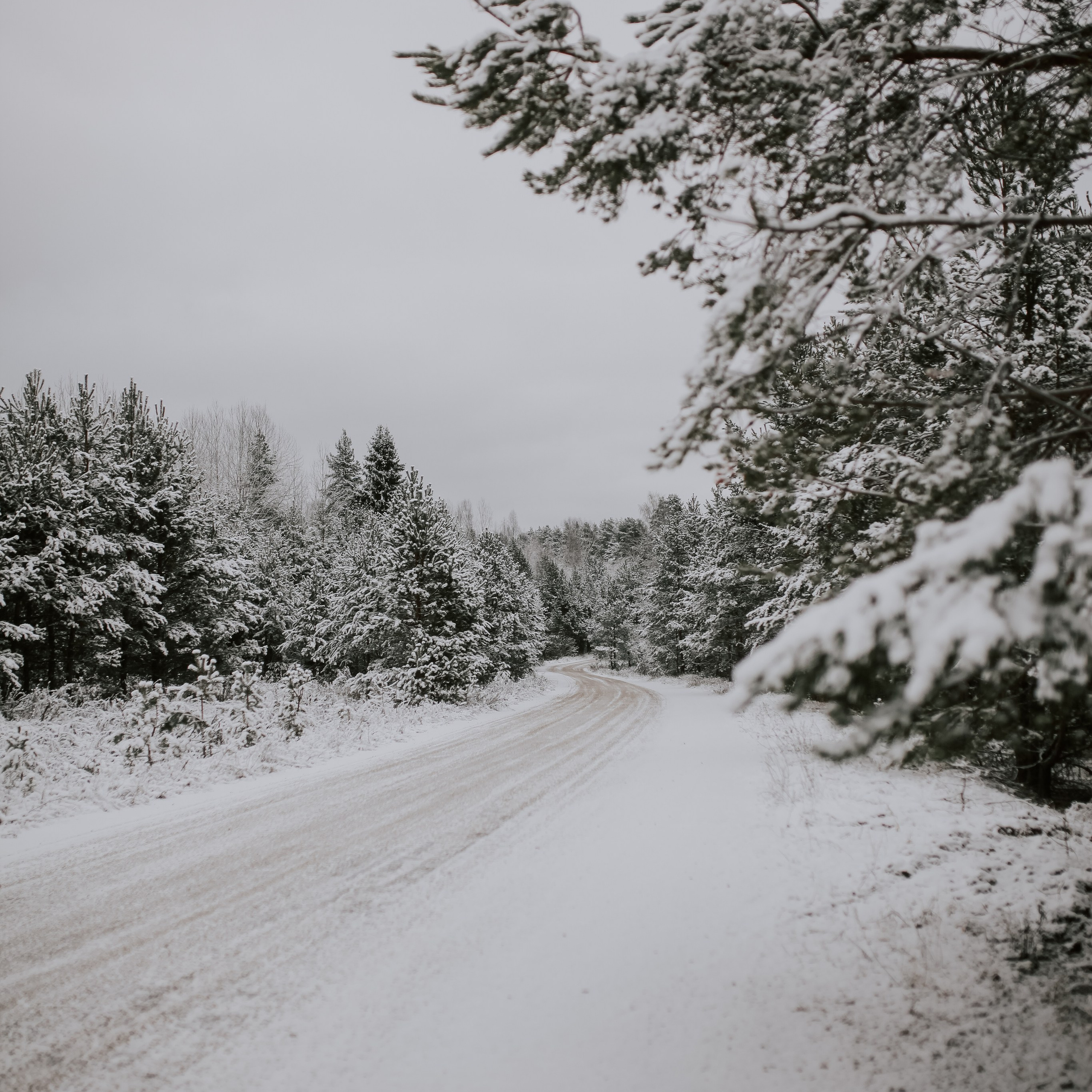 Отзывы. Семейный Life style фотограф в Великом Новгороде Юлия Ефимова