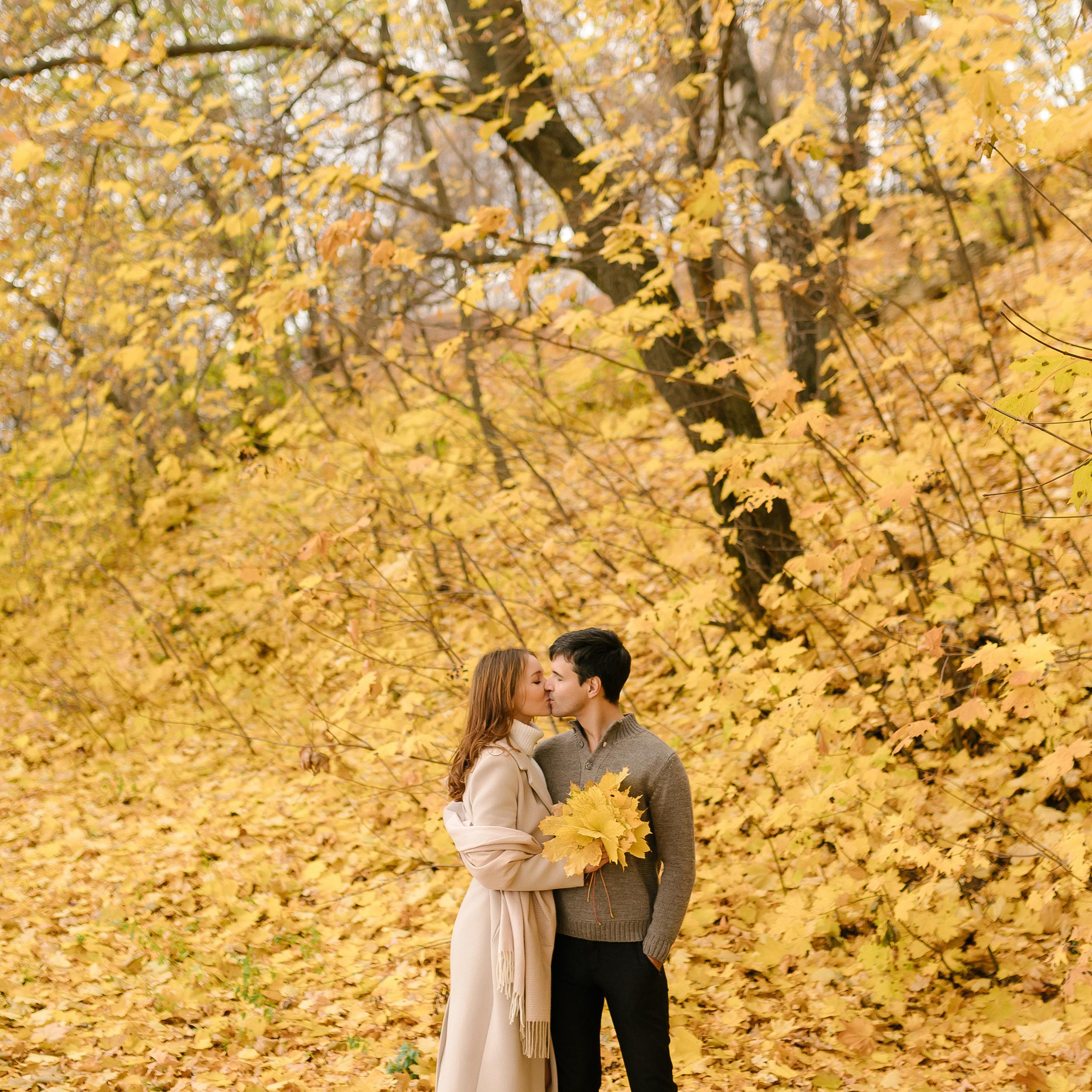 Осенняя история