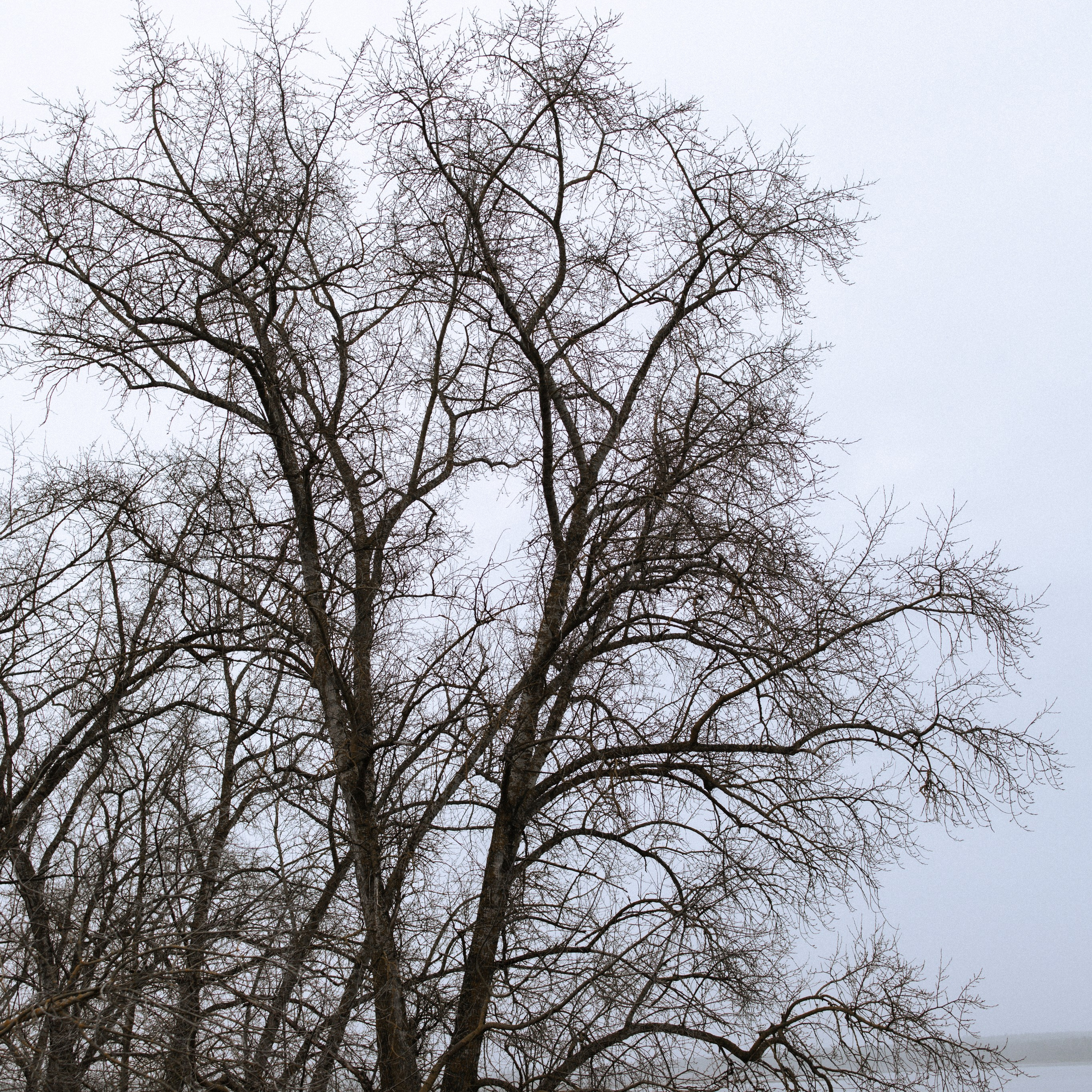 YANA. Ника, фотограф из Нижнего Новгорода