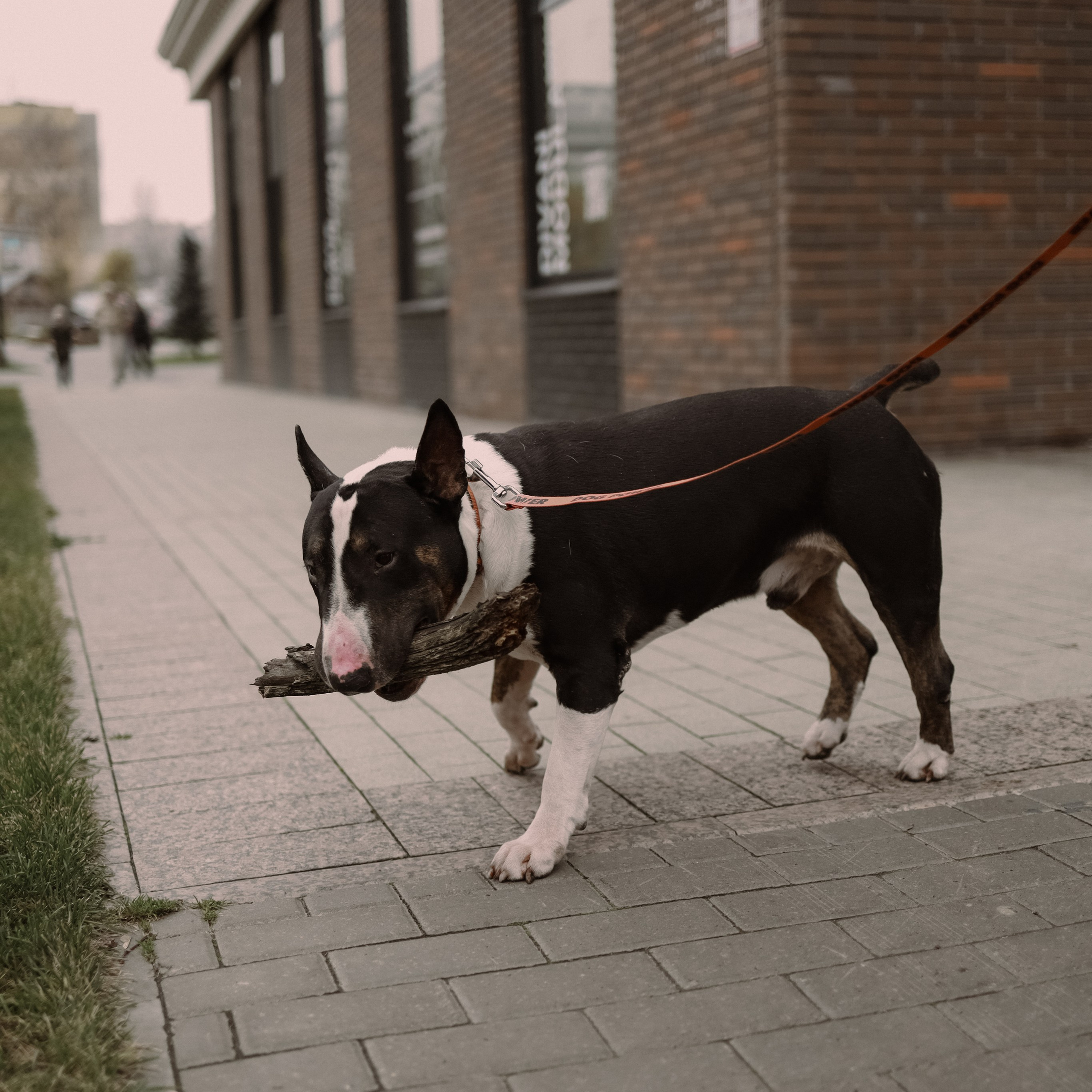 MARI. Ника, фотограф из Нижнего Новгорода