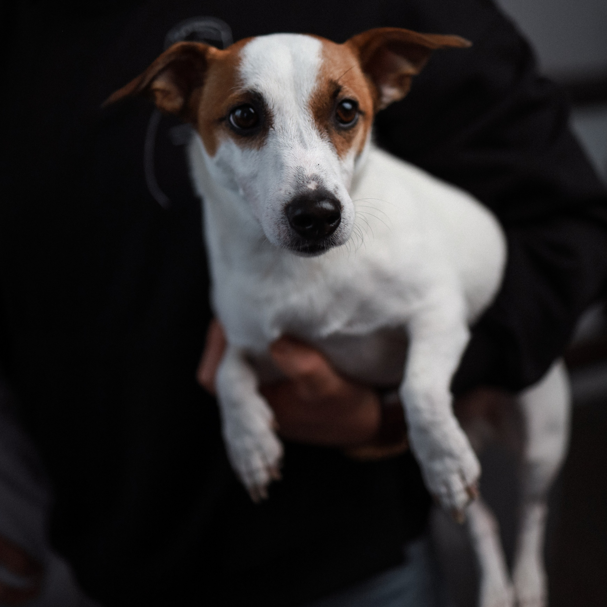 AL&DI. Ника, фотограф из Нижнего Новгорода