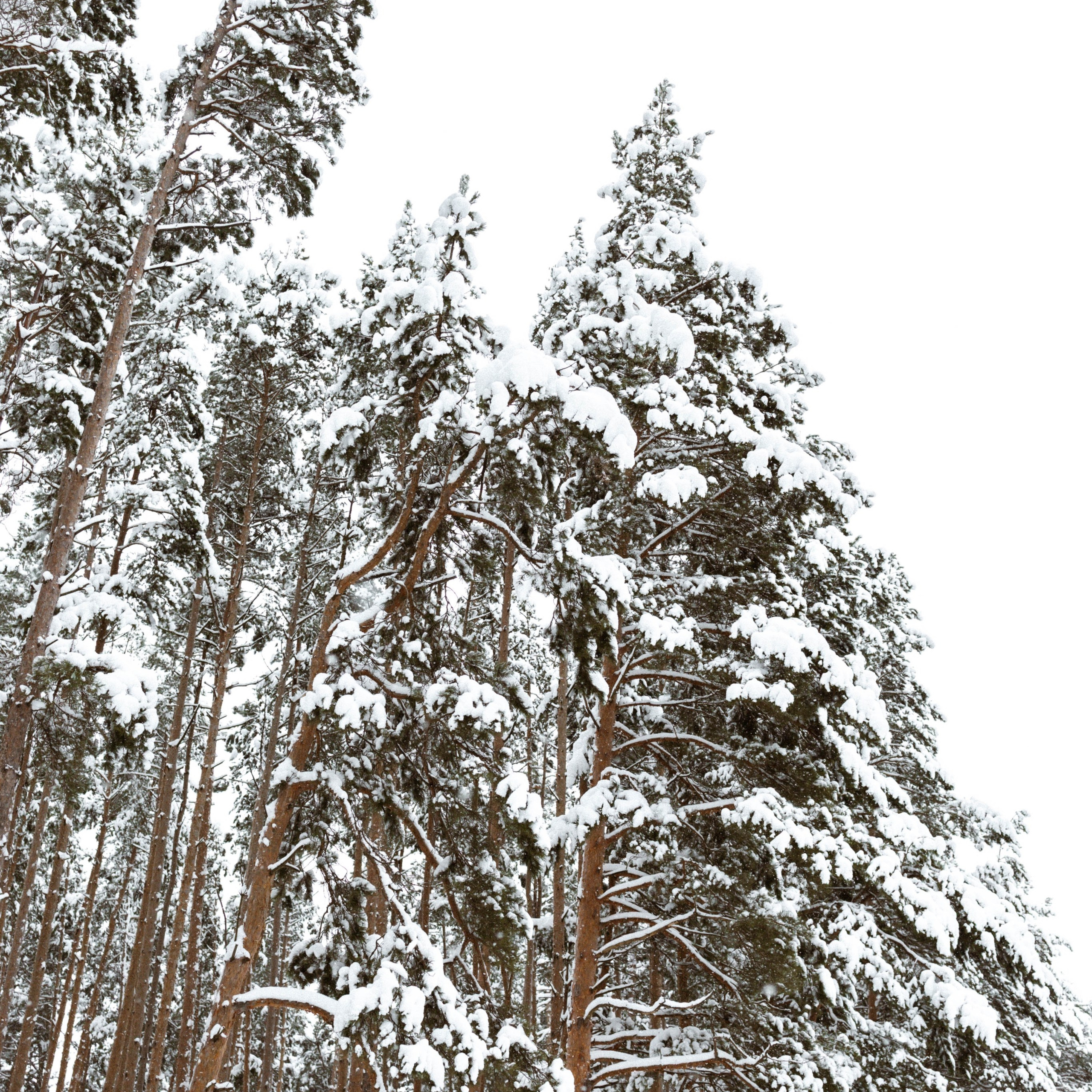 K&Y. Ника, фотограф из Нижнего Новгорода